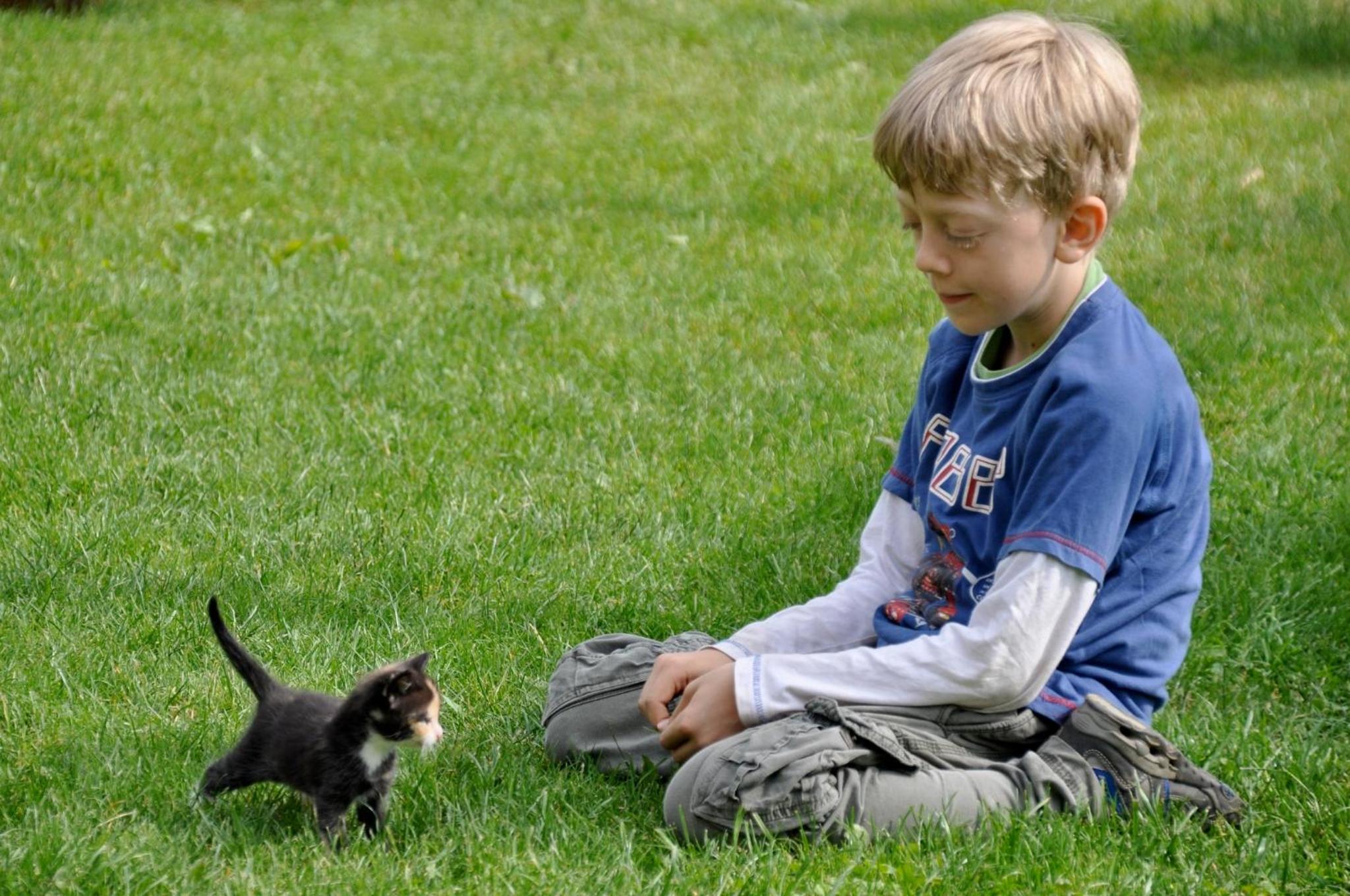Photo 46