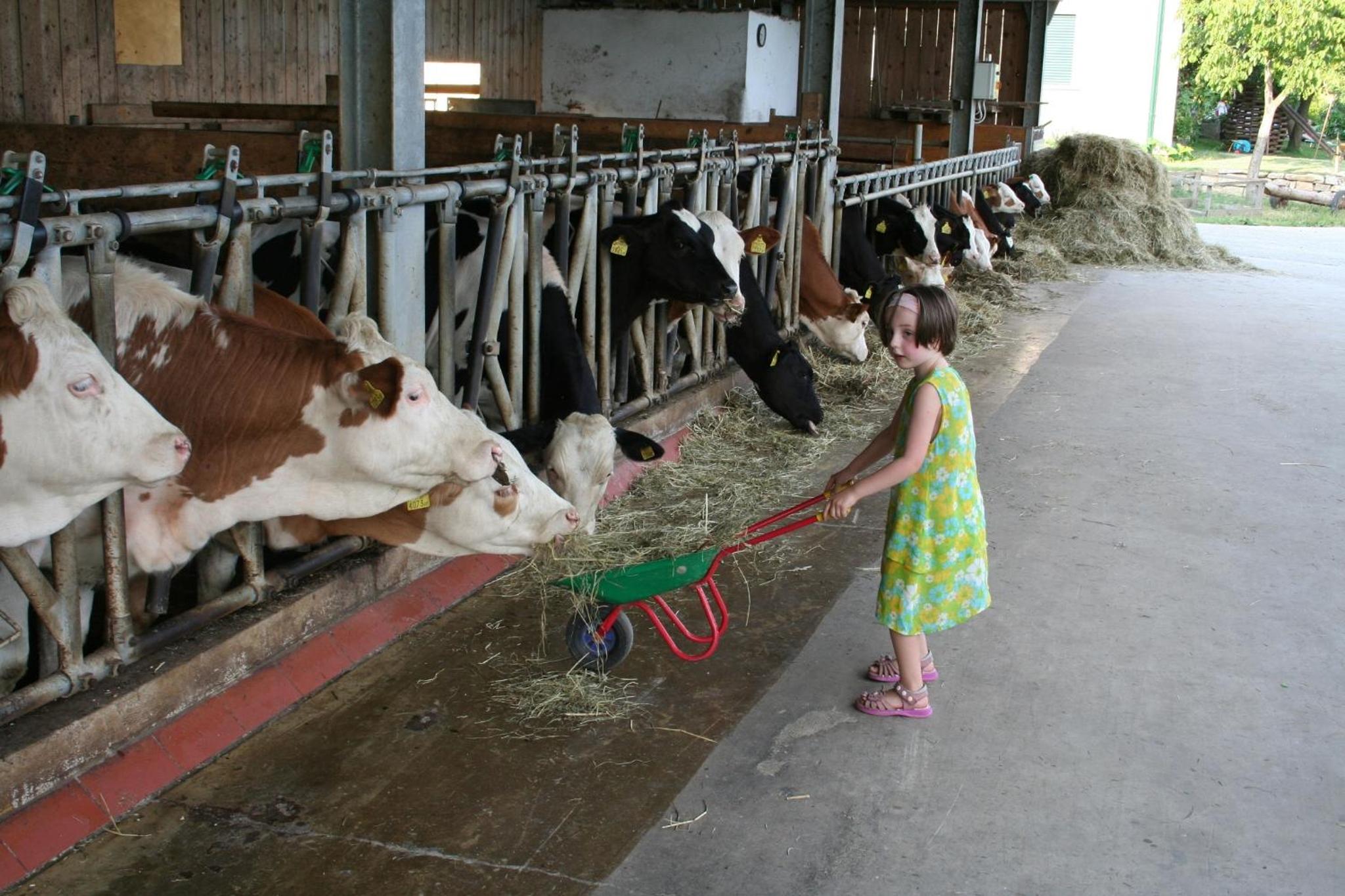 Photo 36