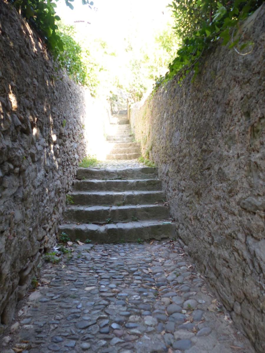 Photo 24