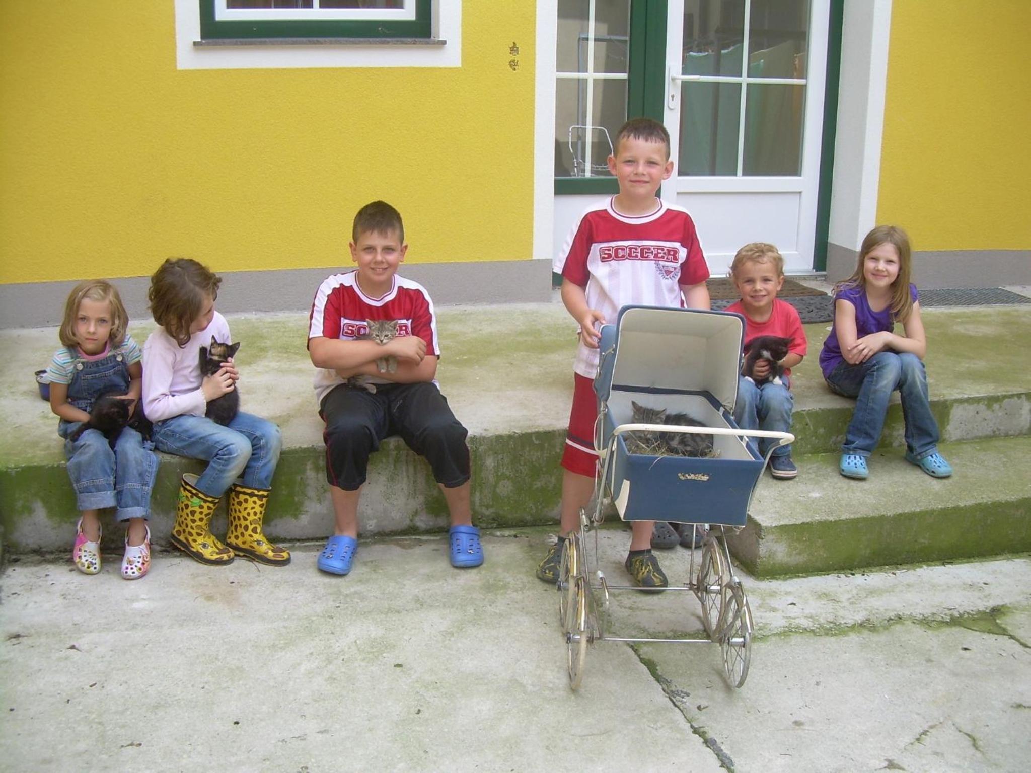 Photo 44
