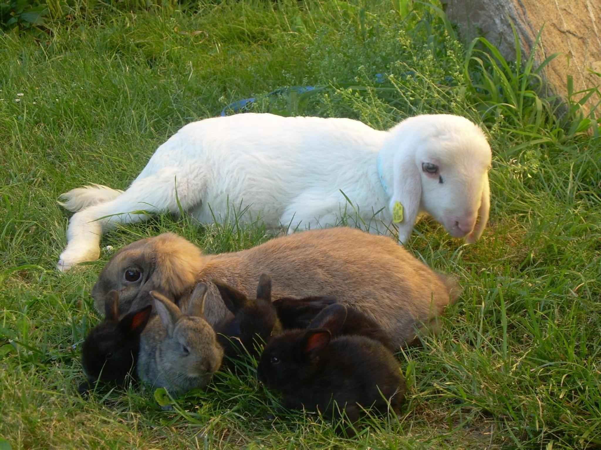 Photo 47