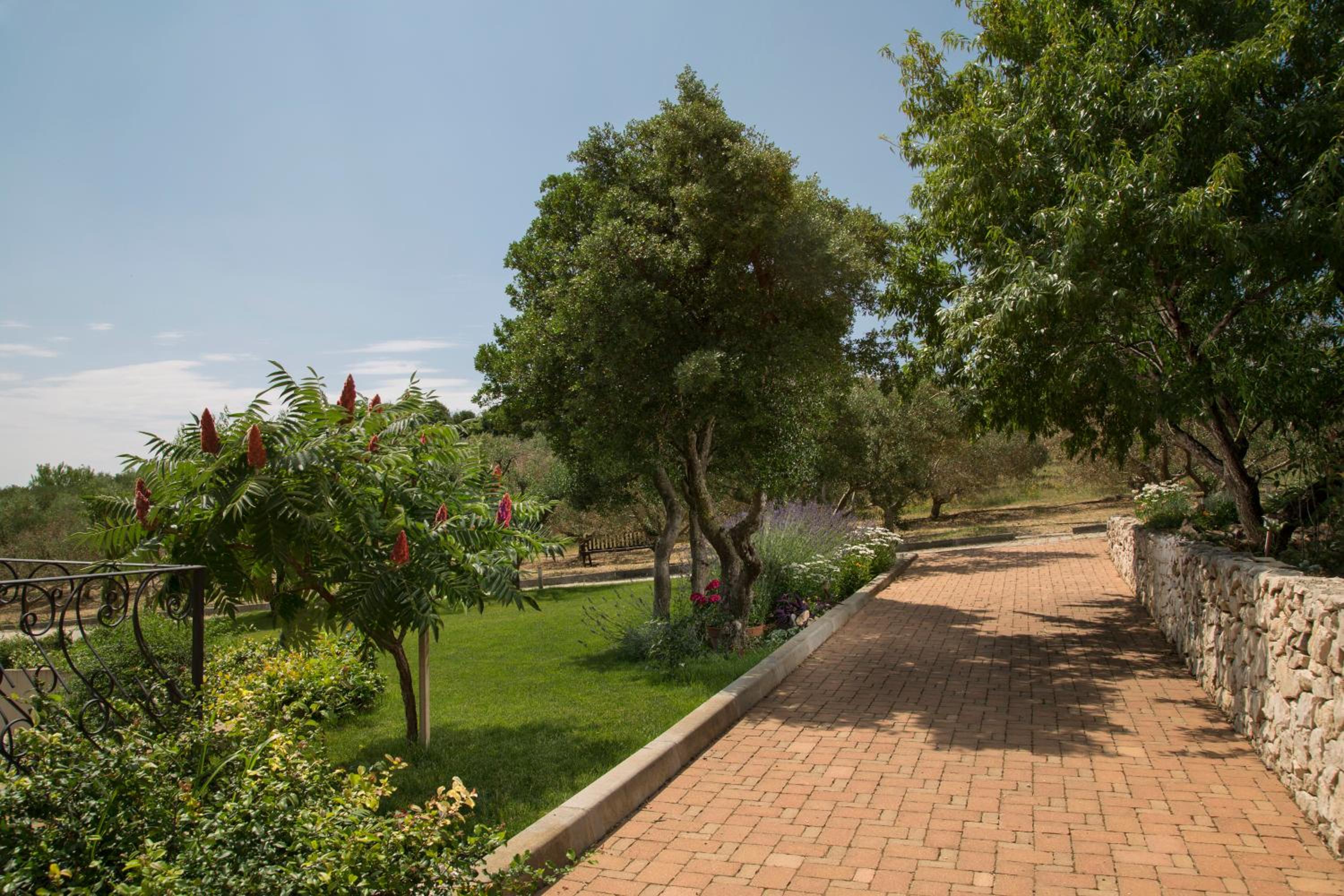 Photo 42