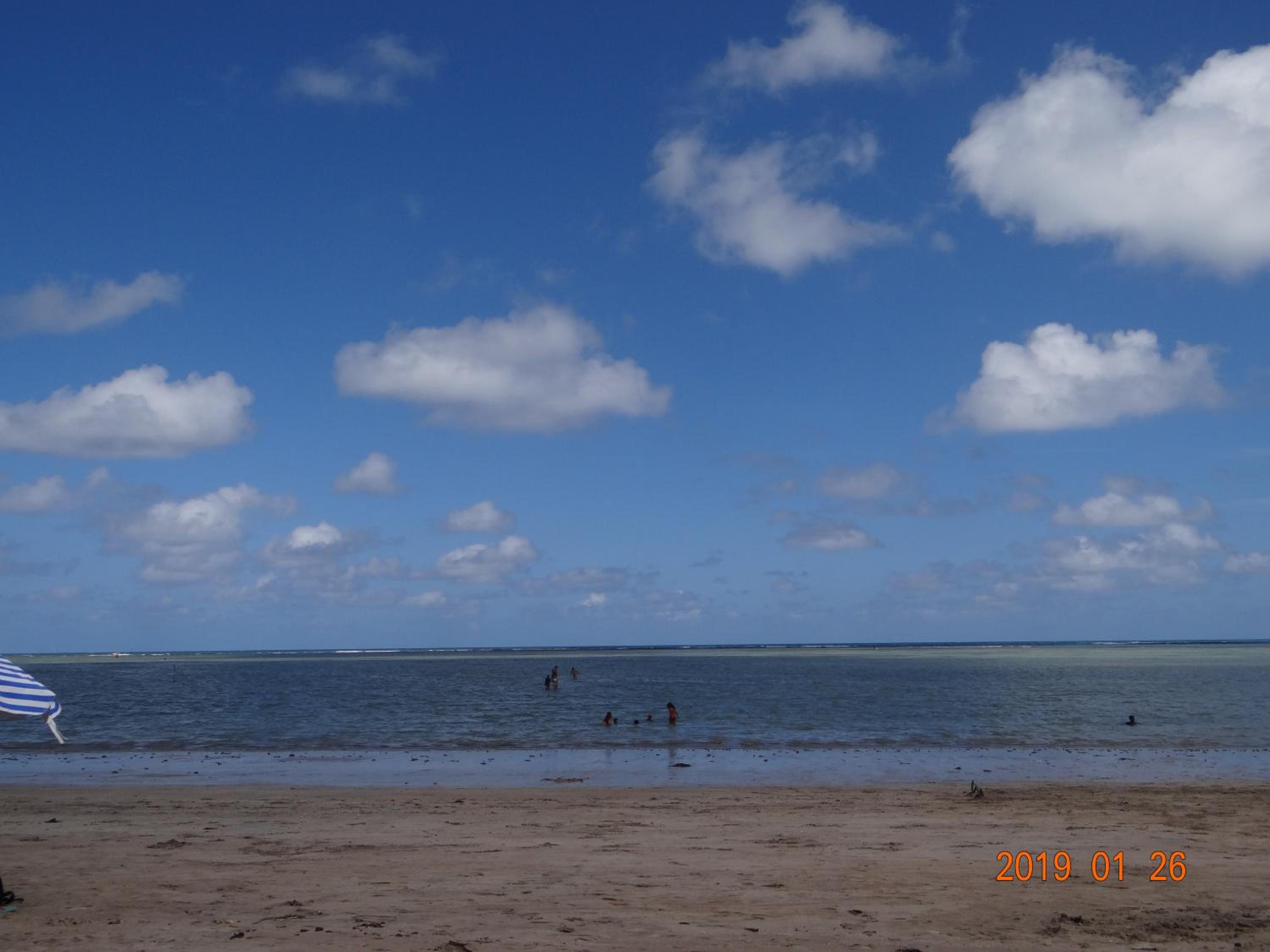 Photo 44