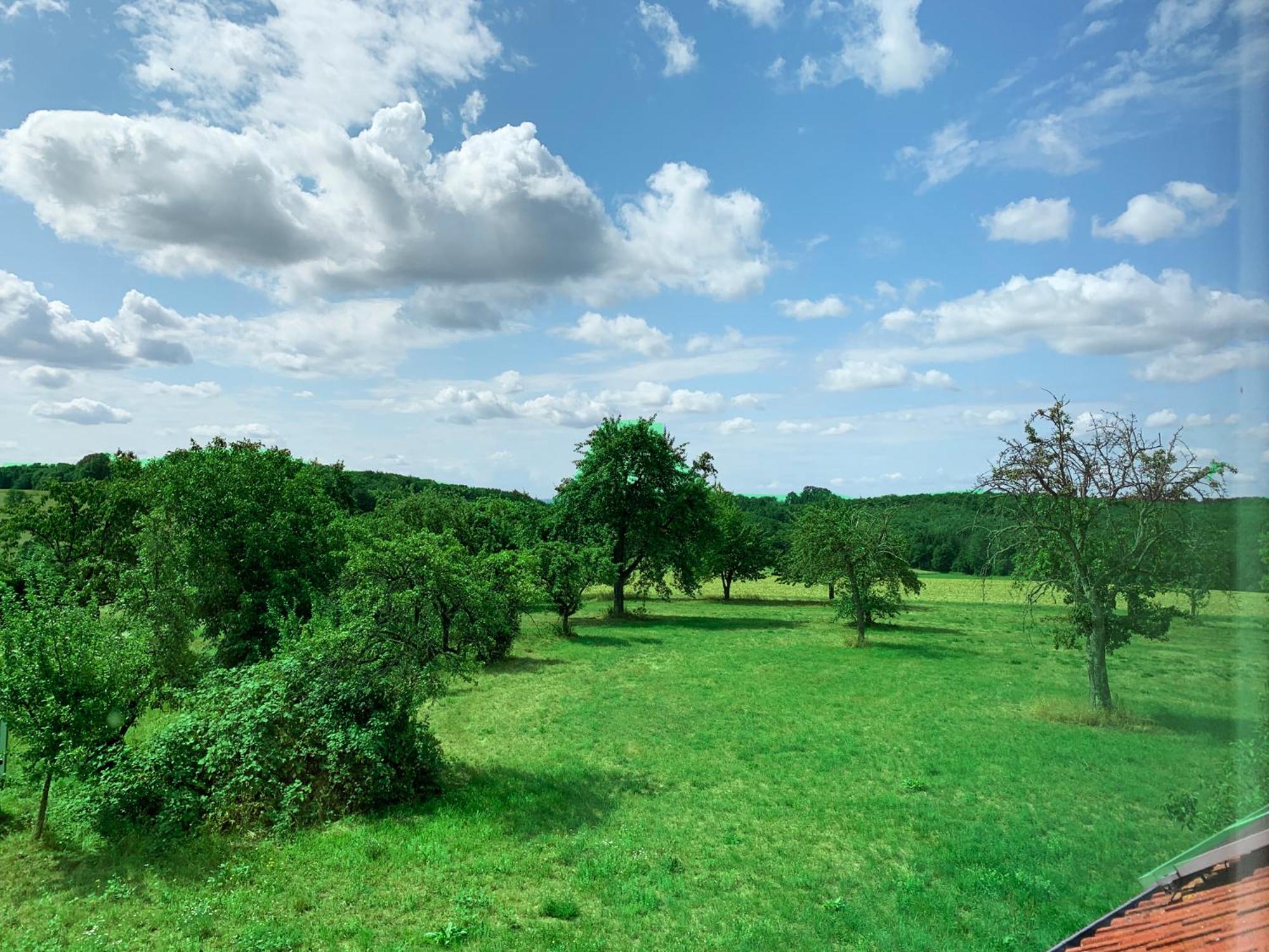 My-Skypalace Billigheim