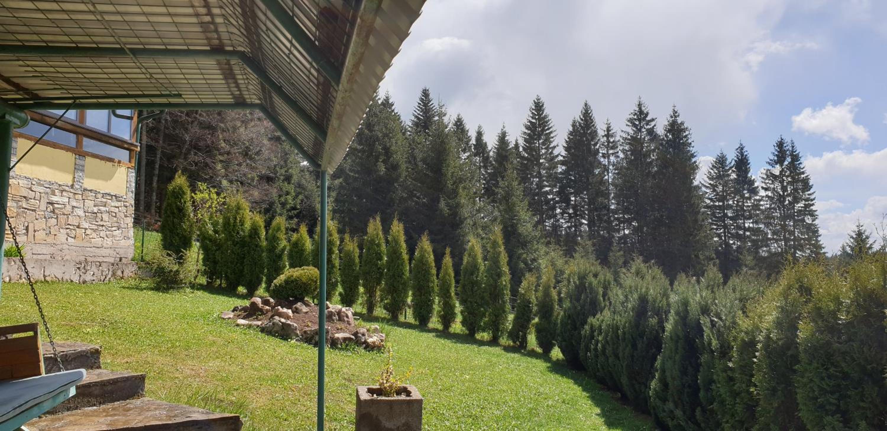 Green Forest