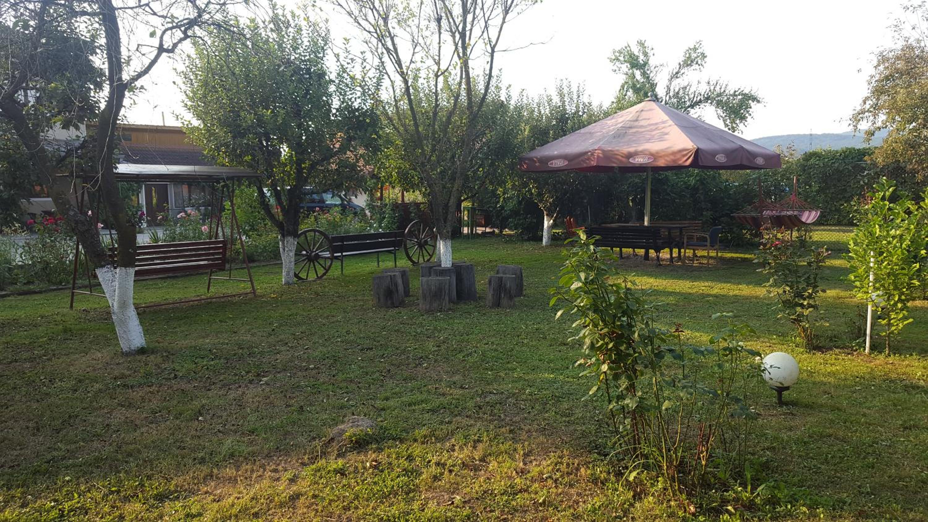 Photo 11