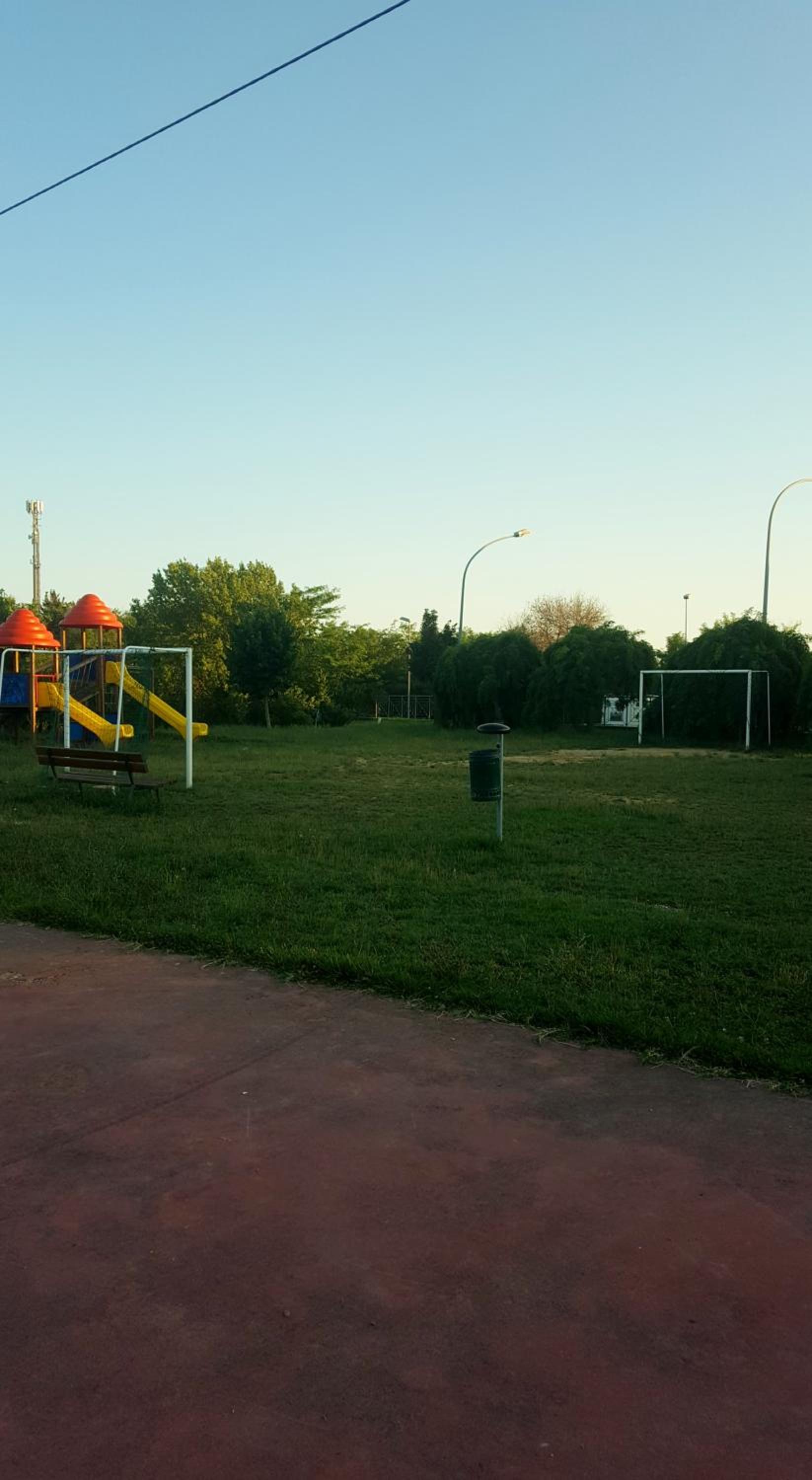 Photo 50