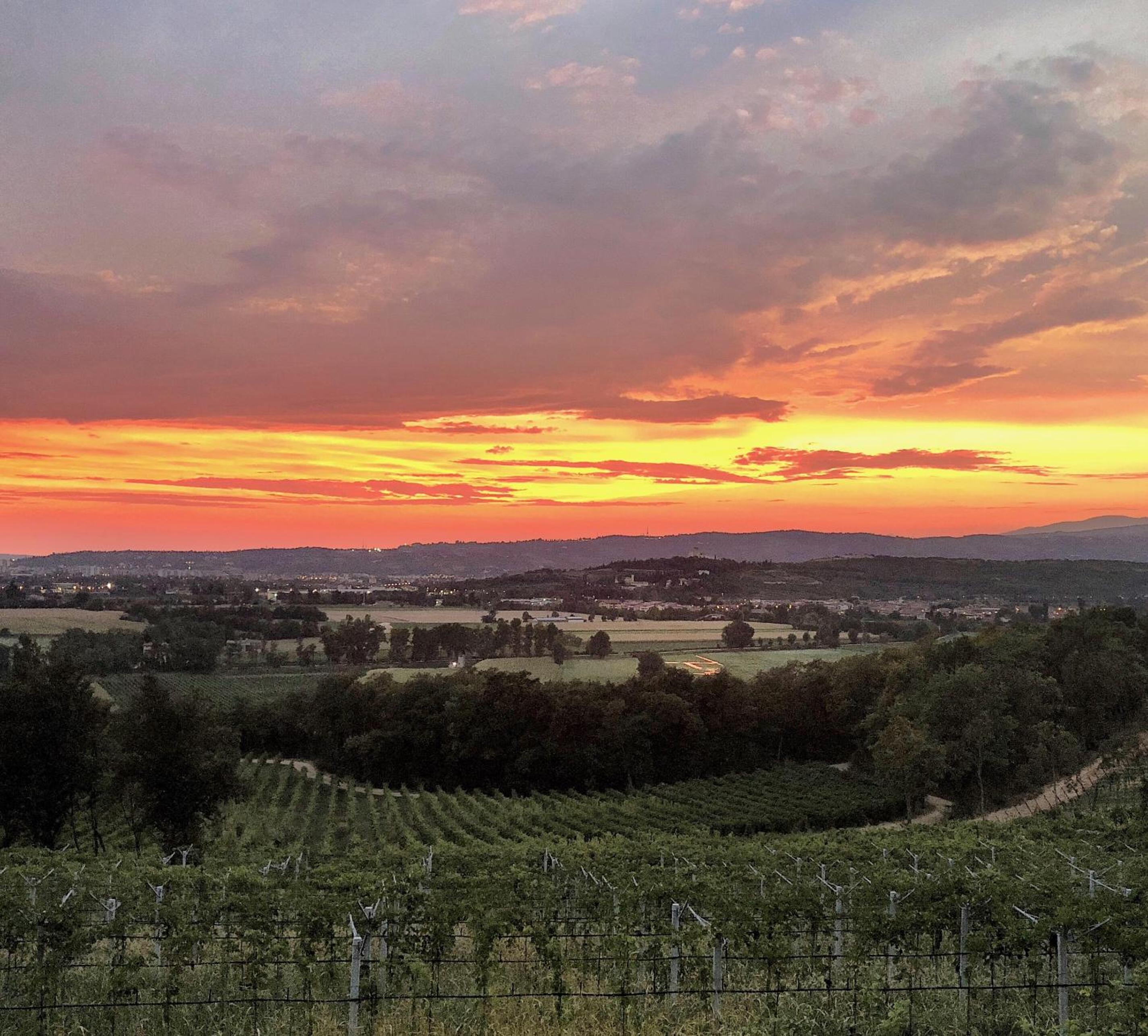 Musella Winery & Relais