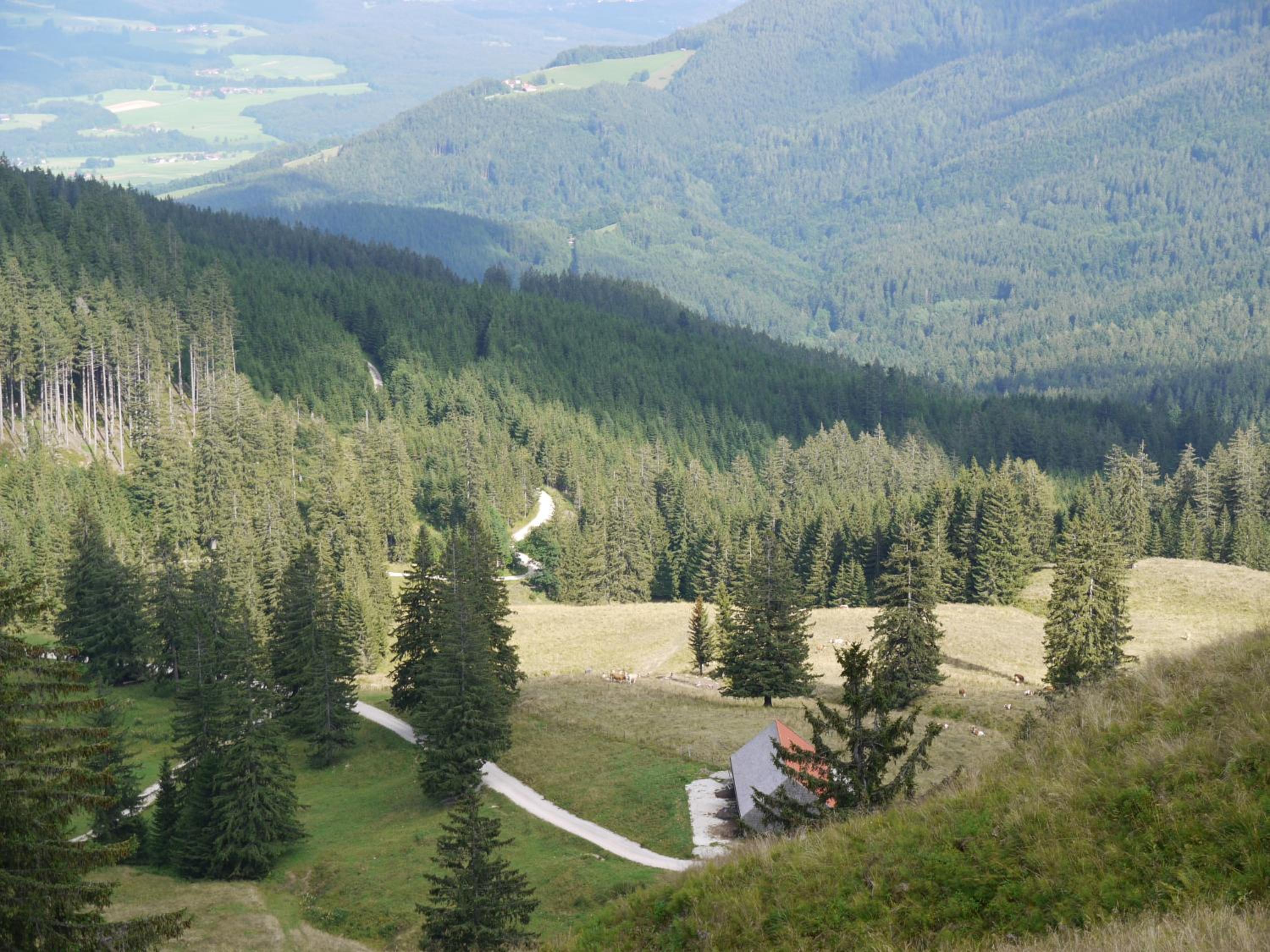 Photo 27