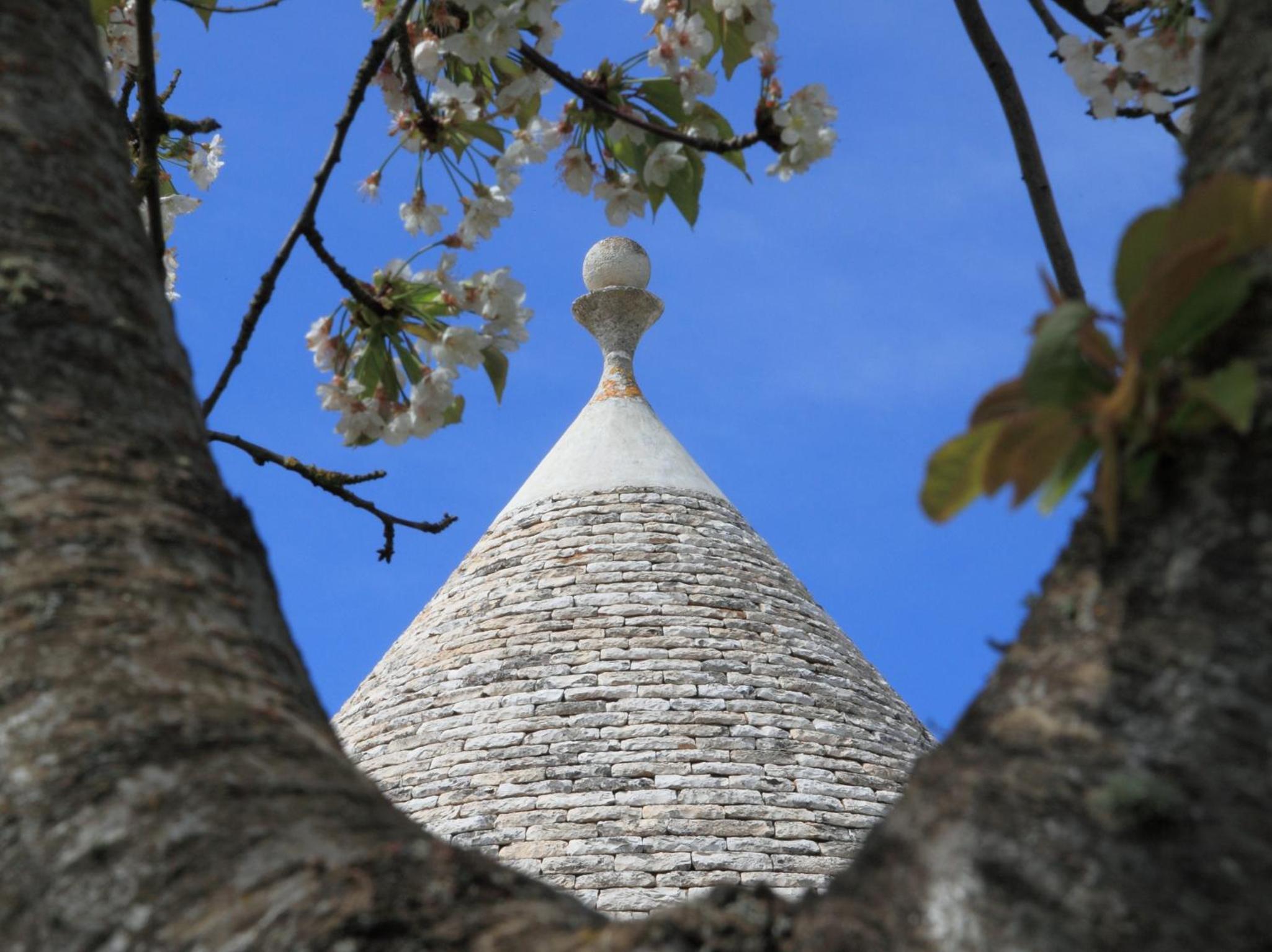 Pietraluce view 3