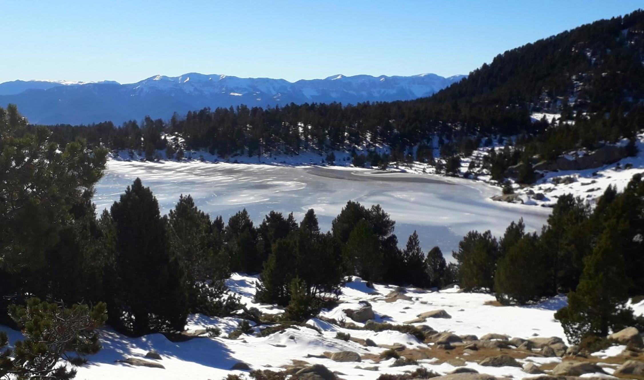Cal Sams view 5