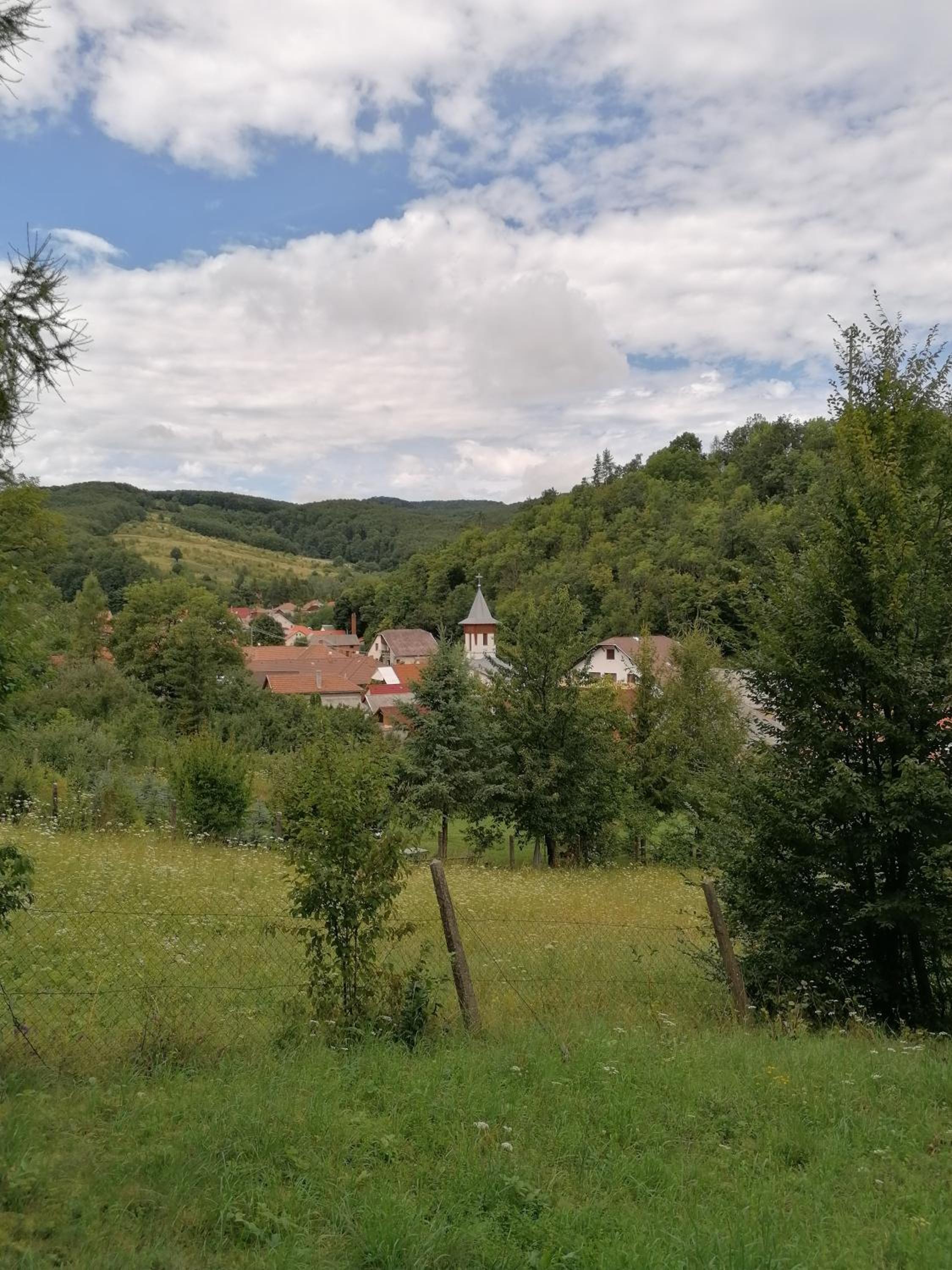 Photo 29