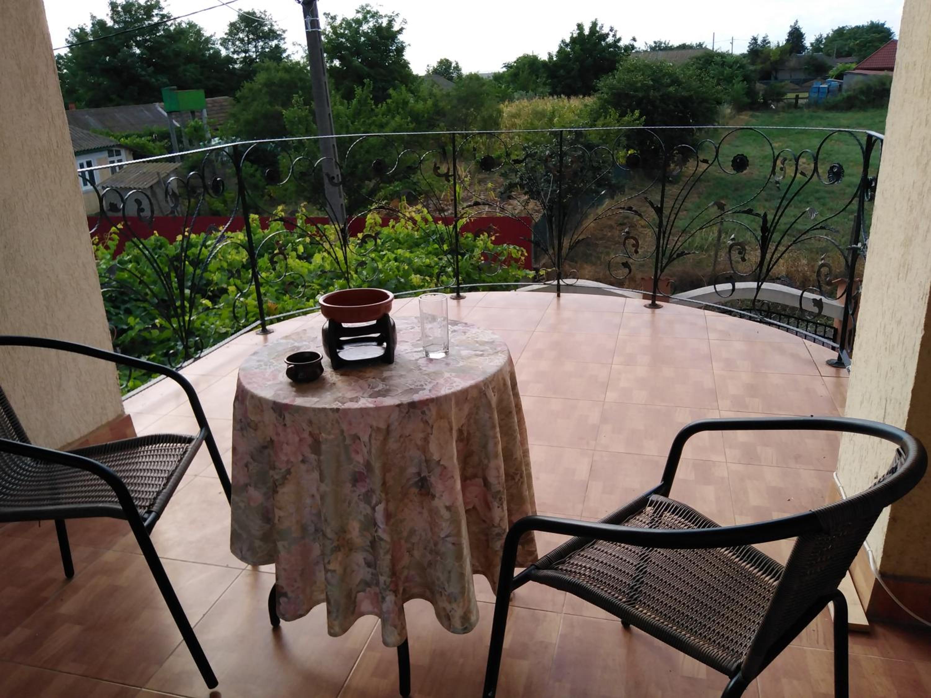 Pensiunea Burciu view 2