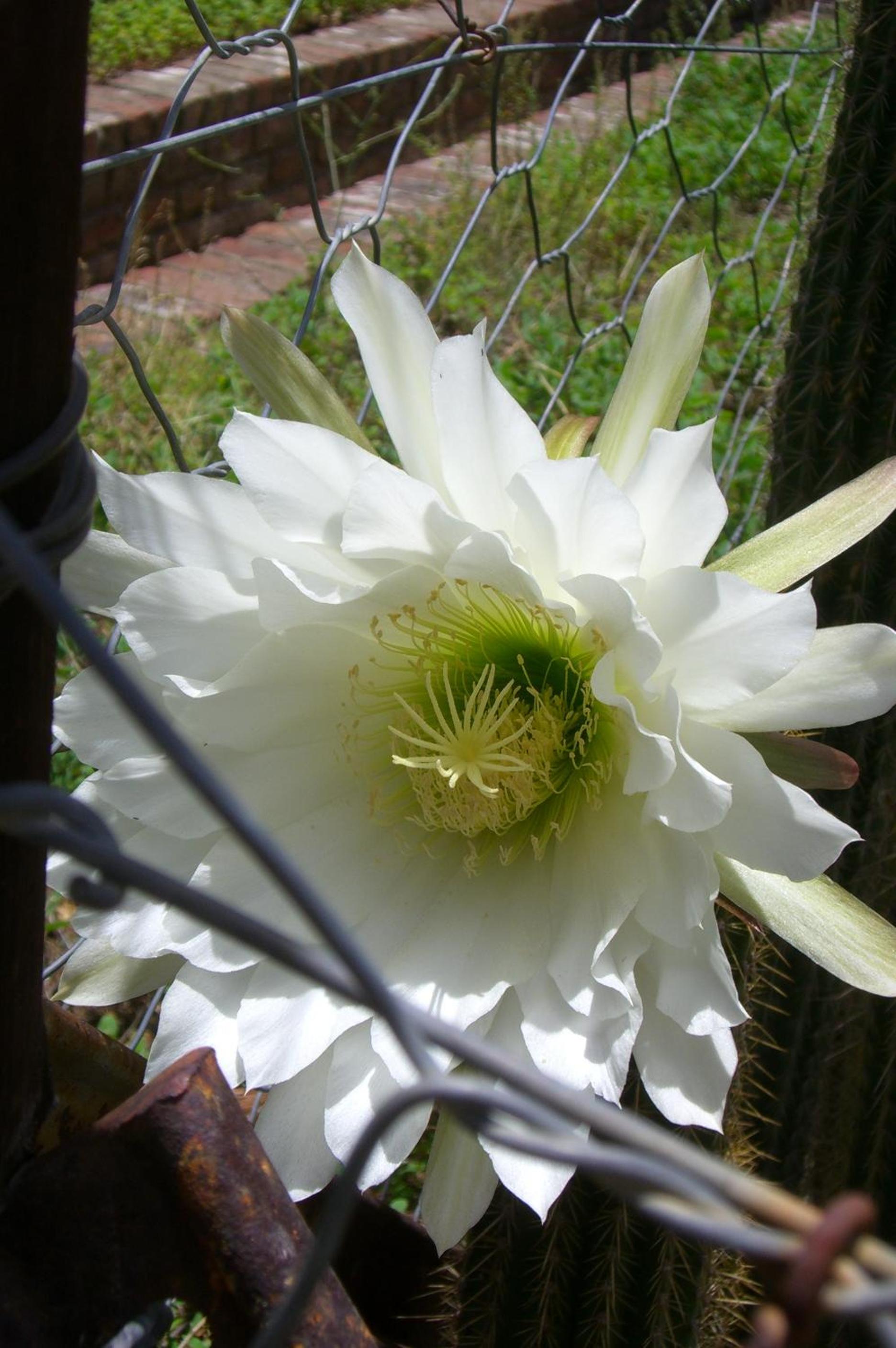 Photo 21