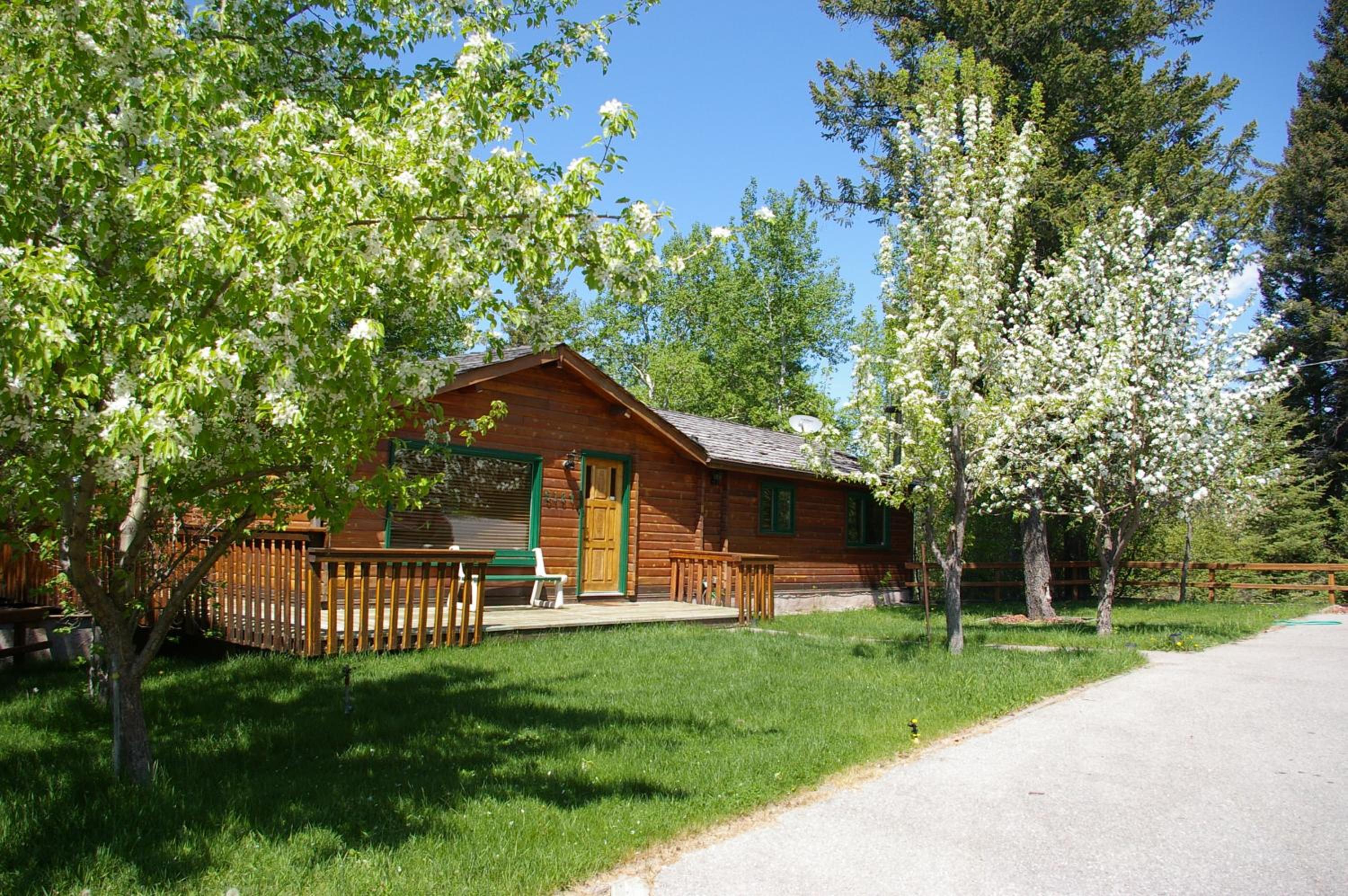 Hotel Creekside Cabin - Image 1