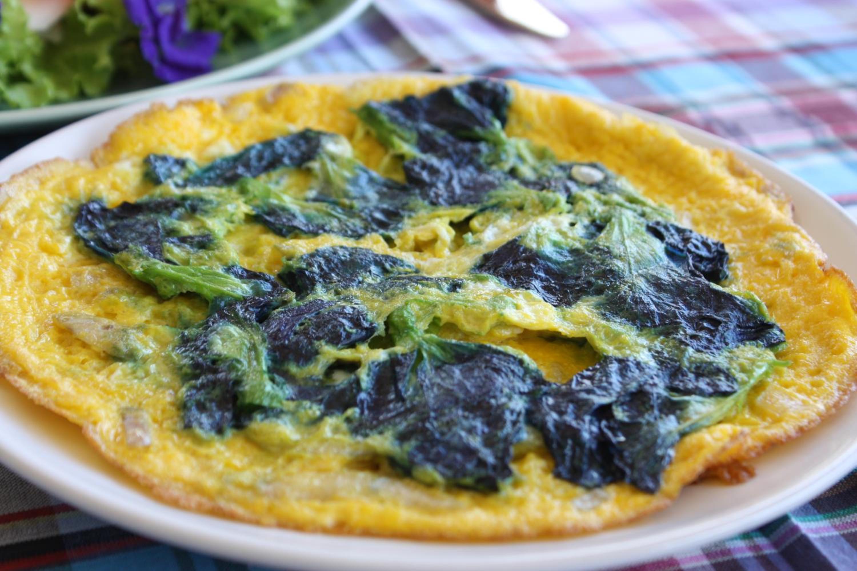 Photo 22