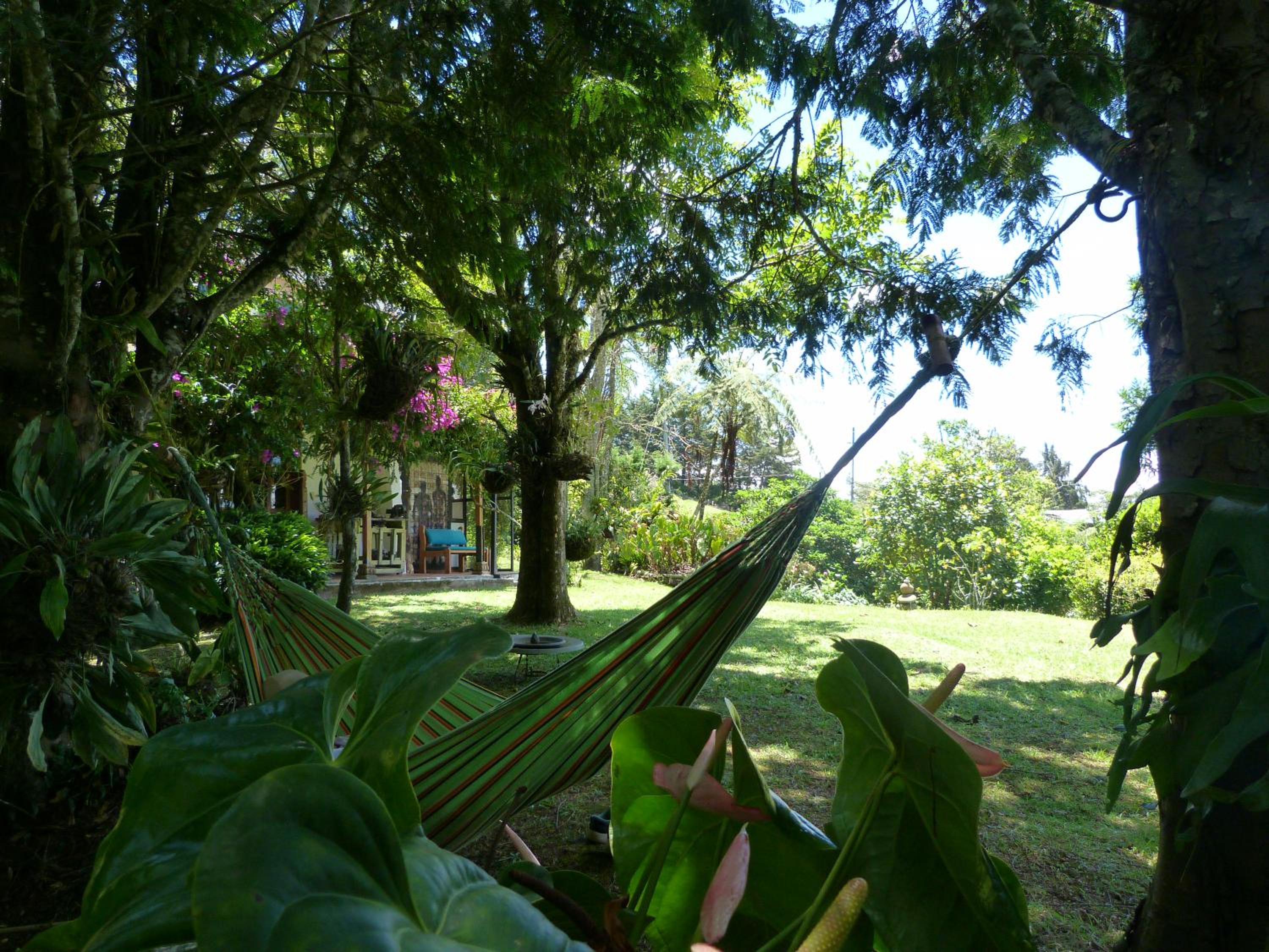 Photo 40