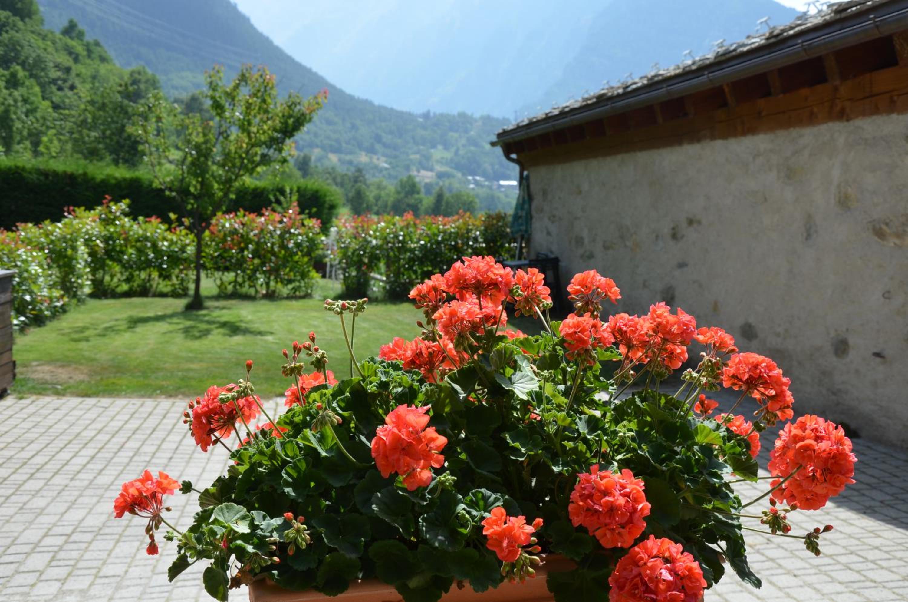 Appartamento Con Giardino view 3