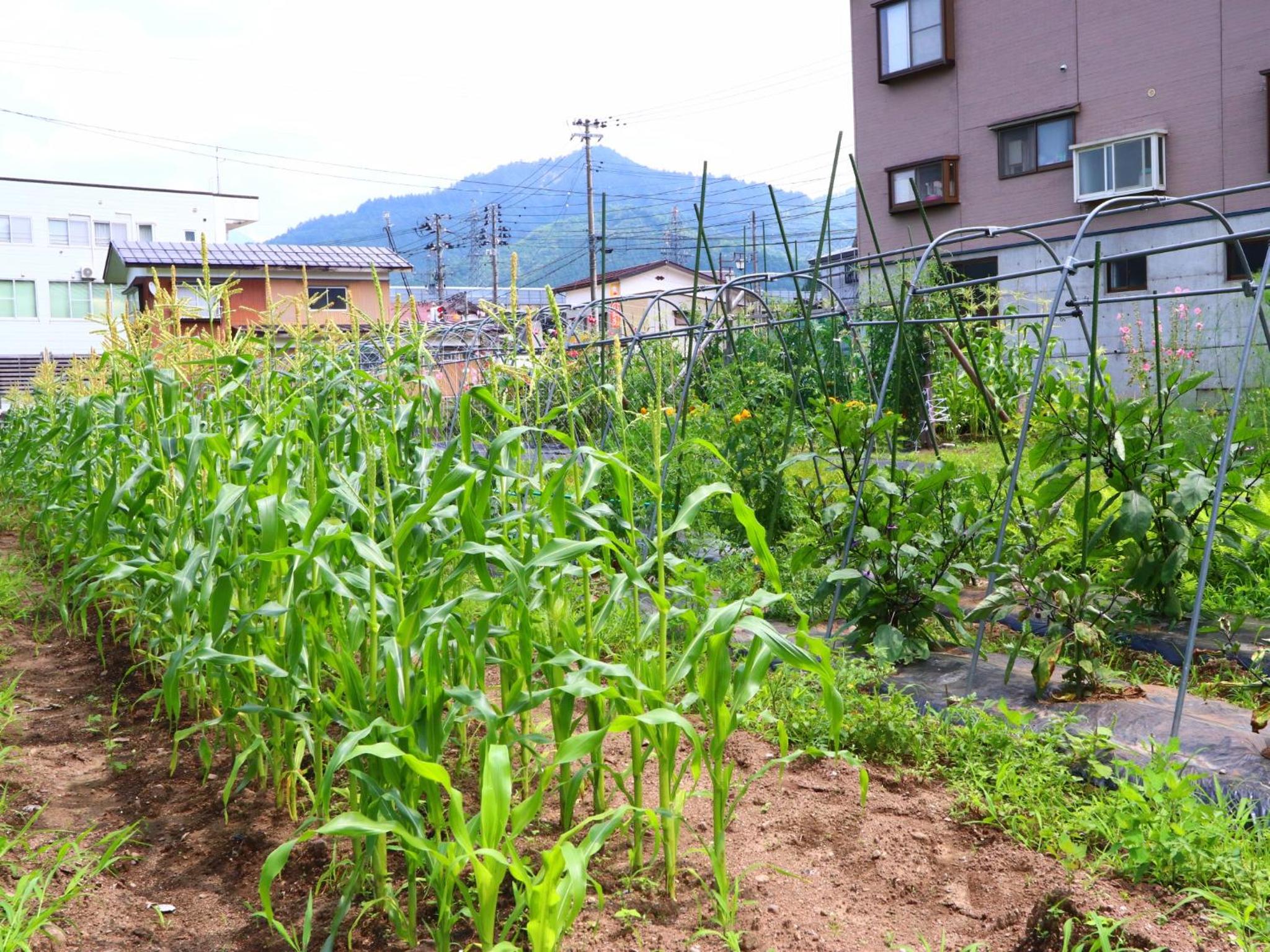 Takanoya