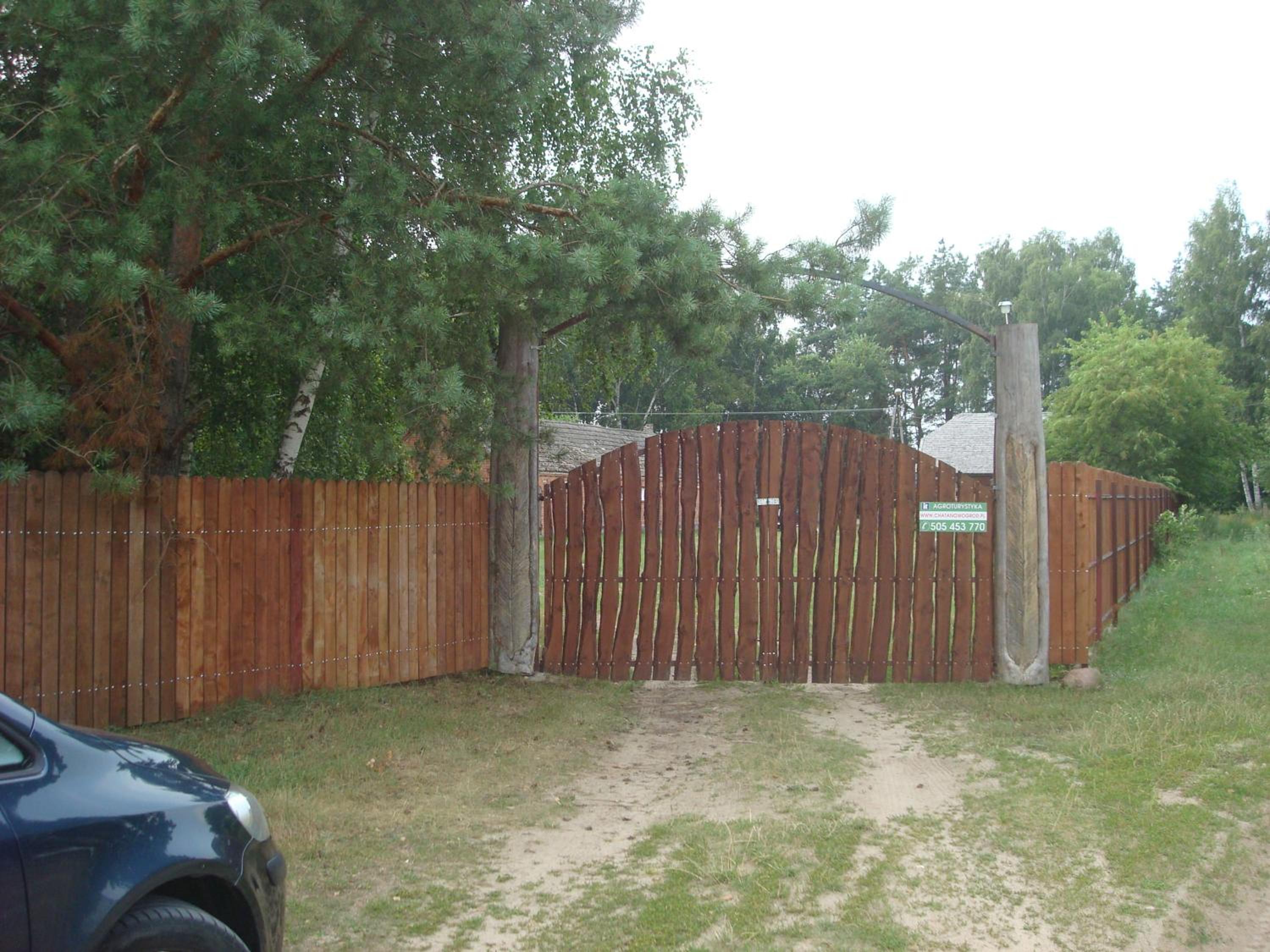 Photo 31