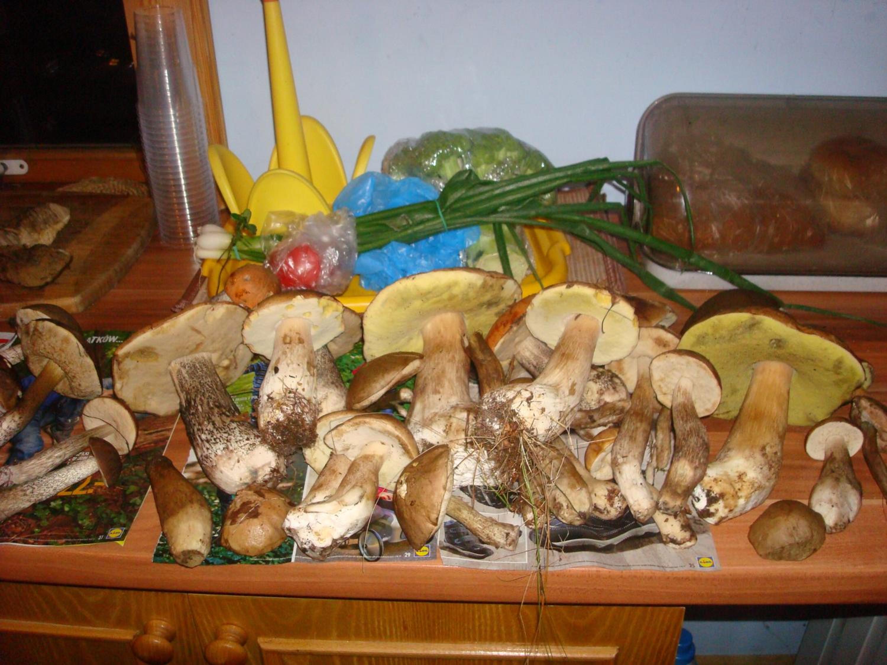 Photo 32