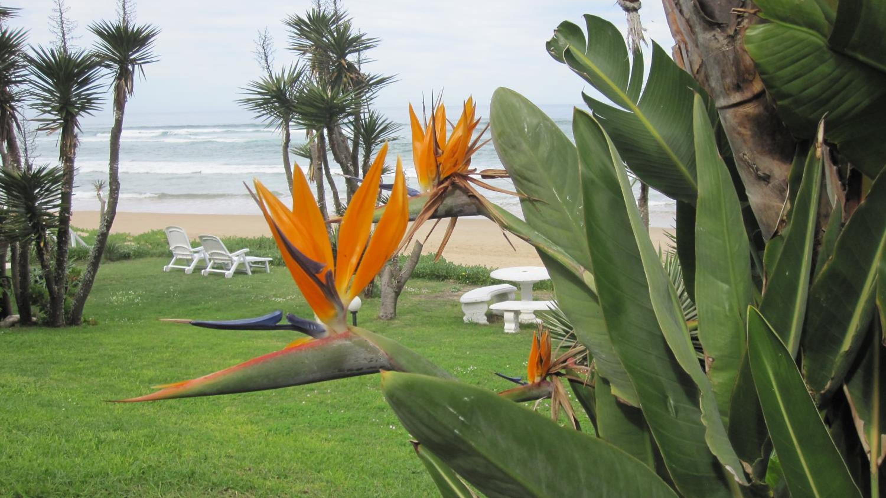Haus am Strand - on the Beach