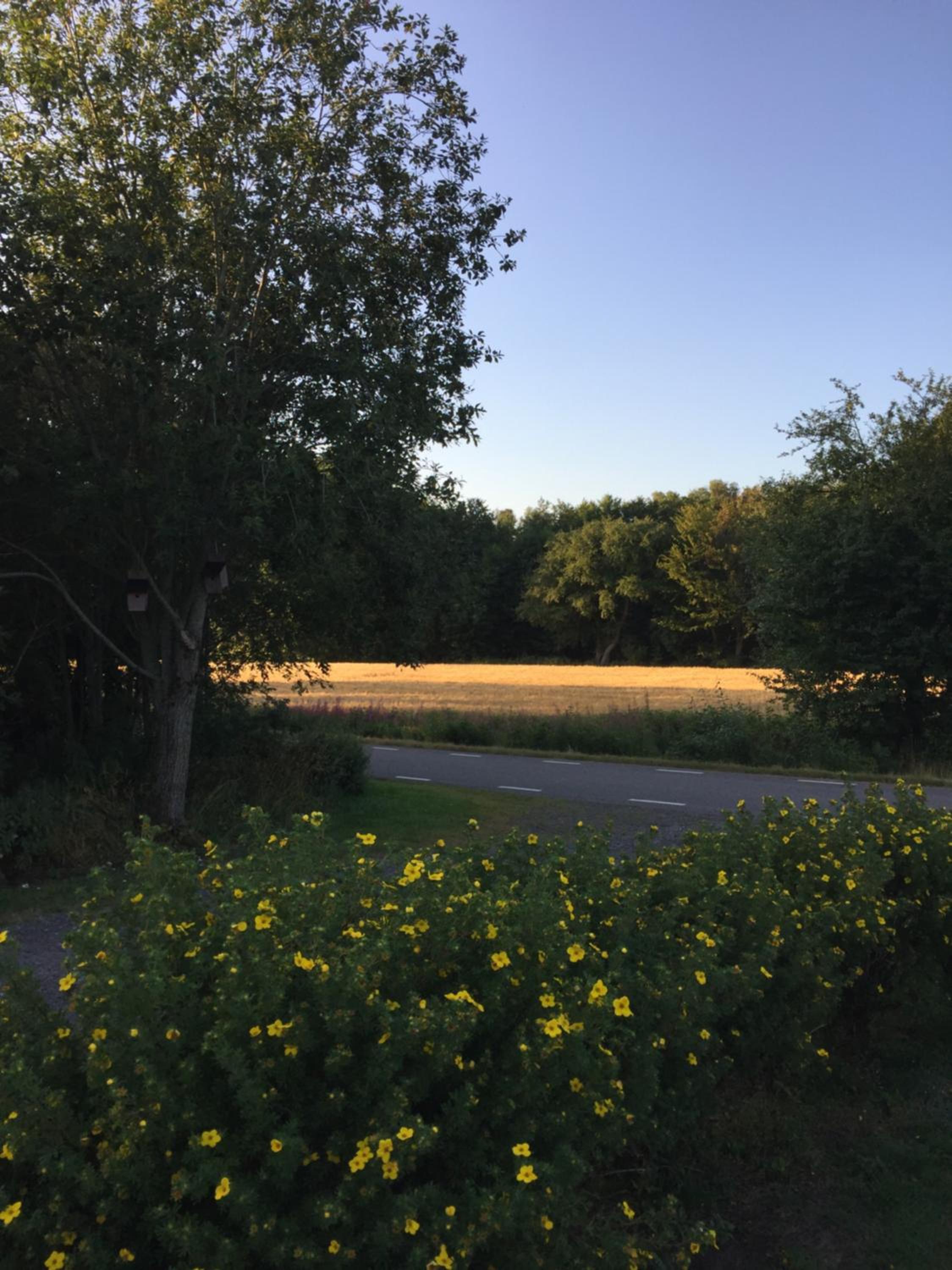 Photo 32