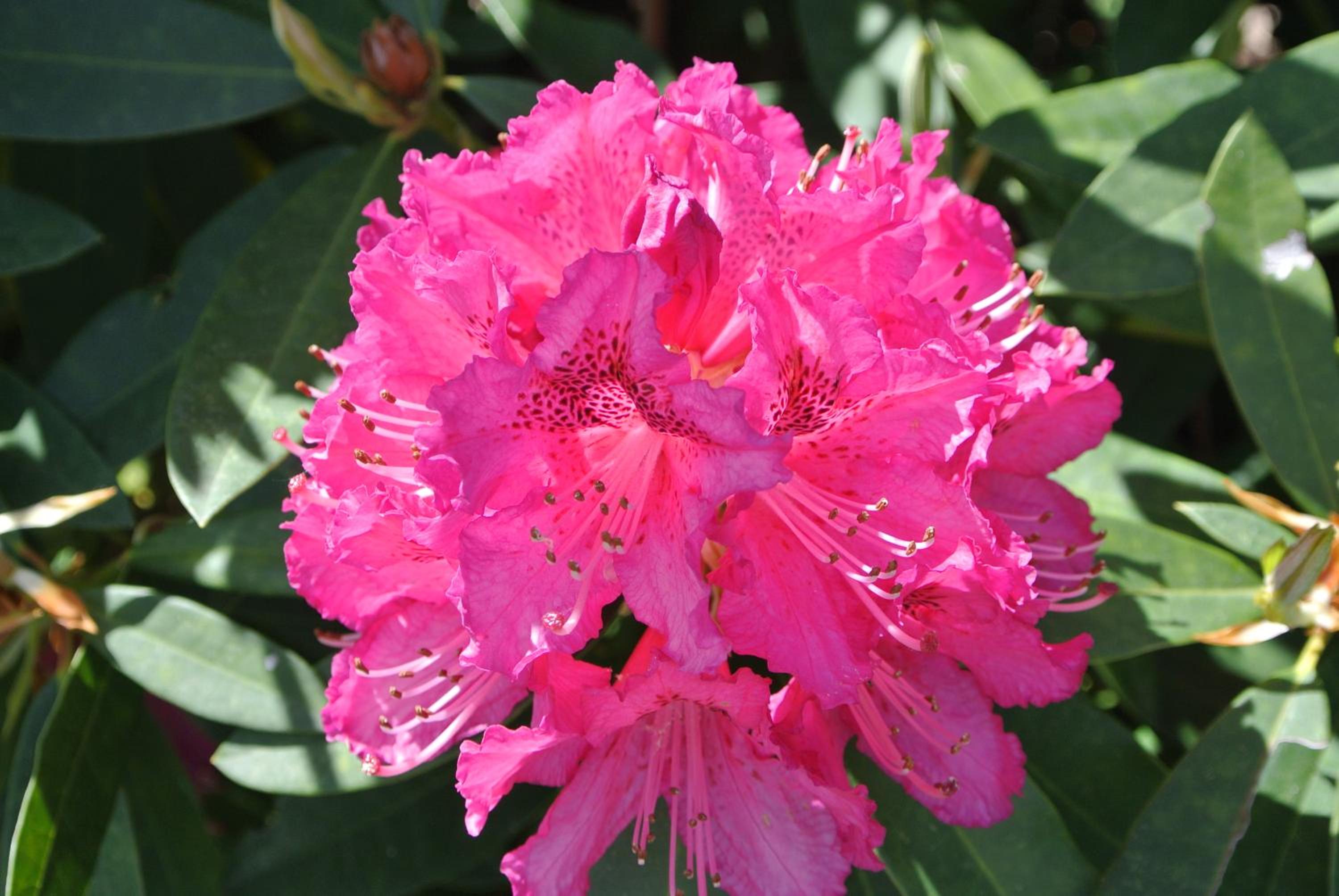 Photo 45