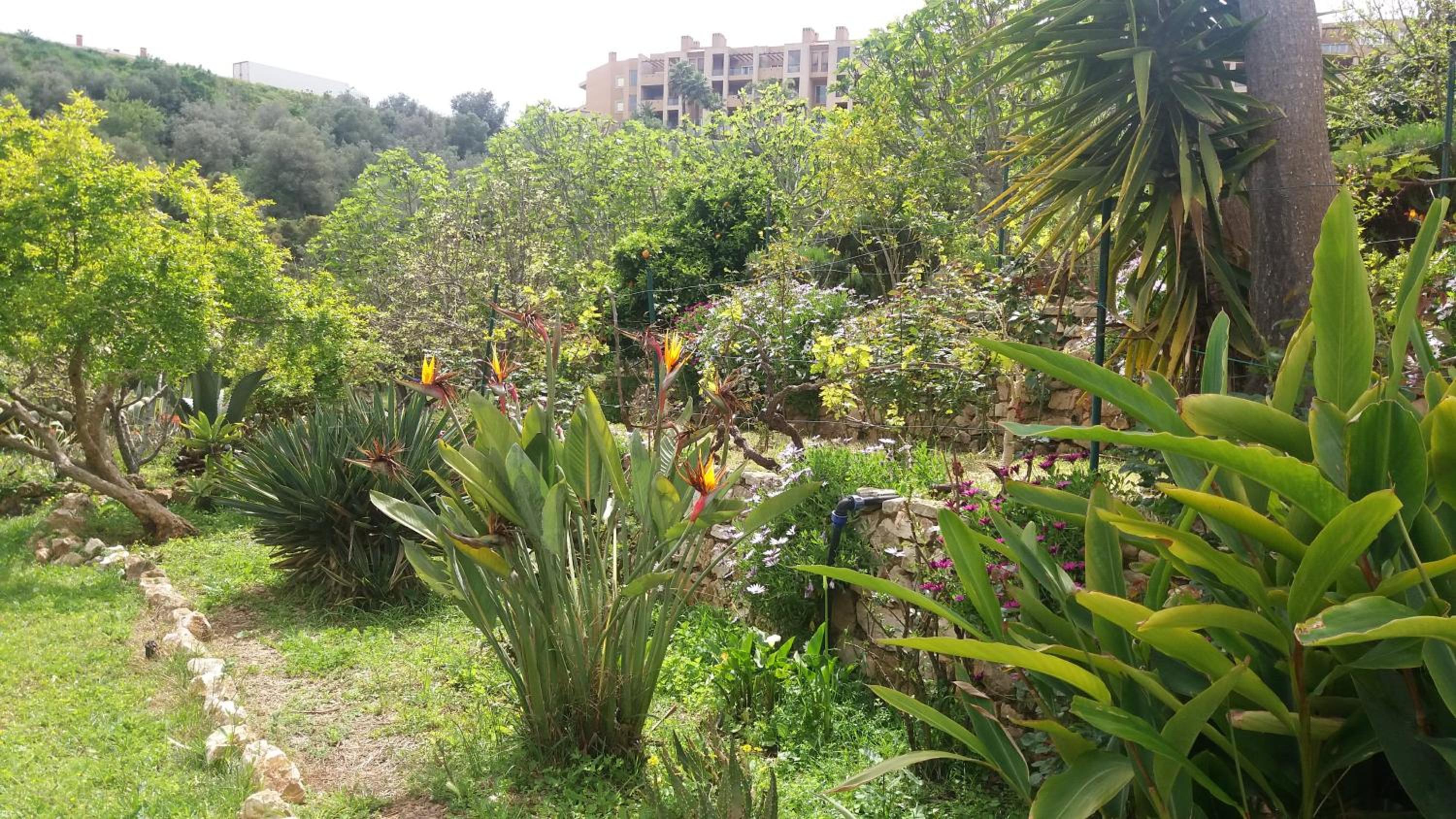 Av Fonte Coberta, Lagos, Villa Fonte Coberta view 3