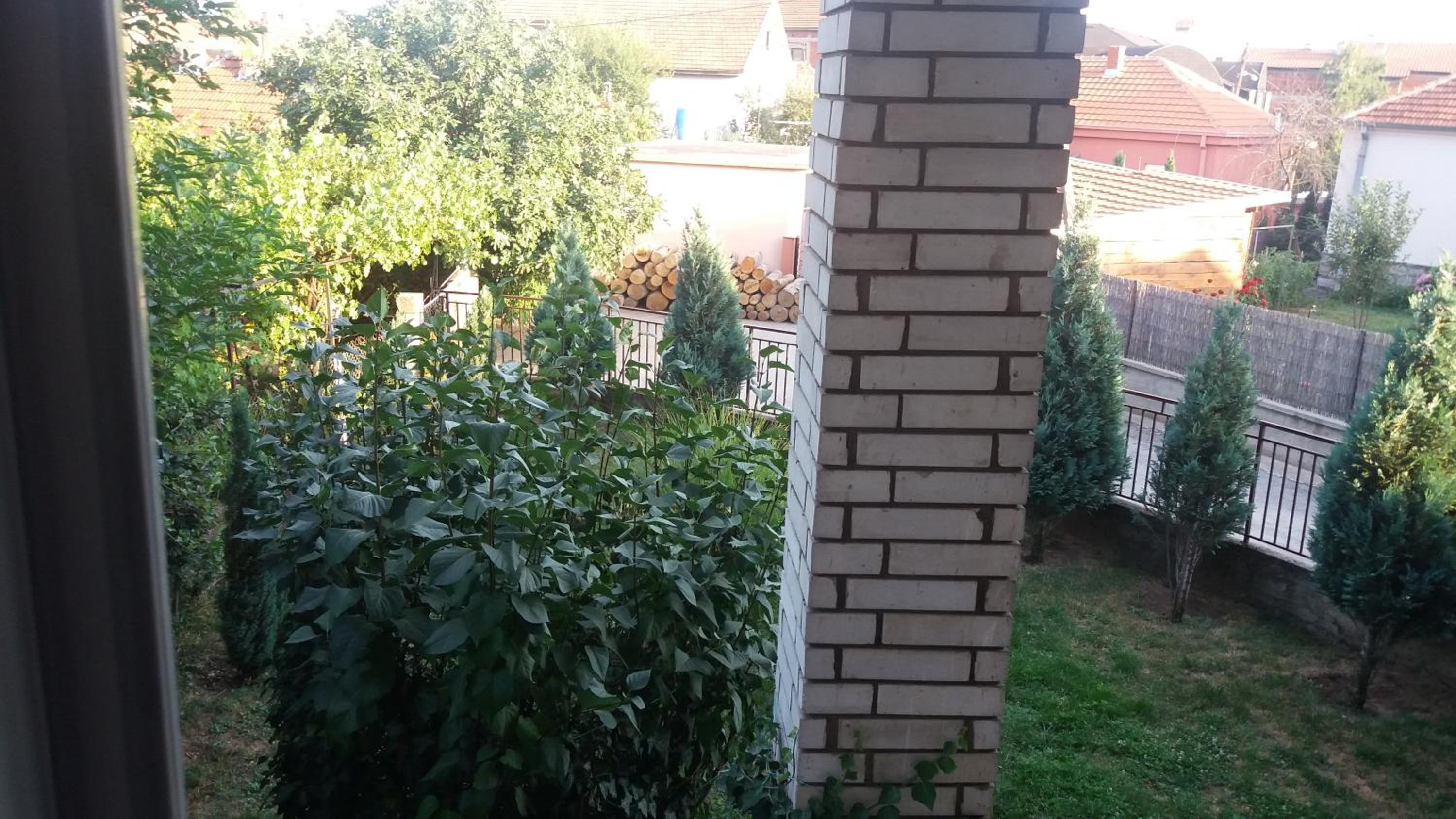 Apartman Lela view 2