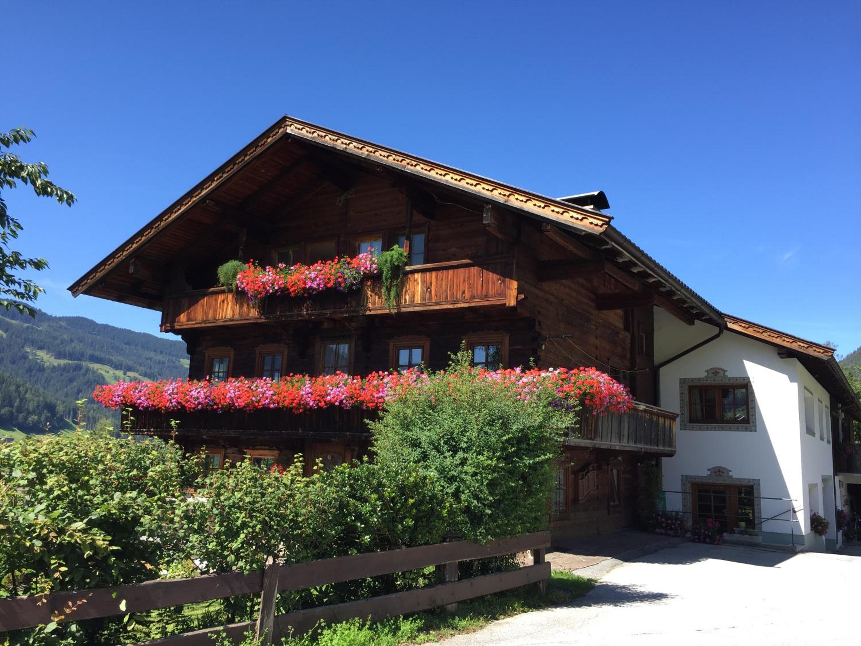 Fürstenhäusl Alpbach - GREEN Apartments & Studio