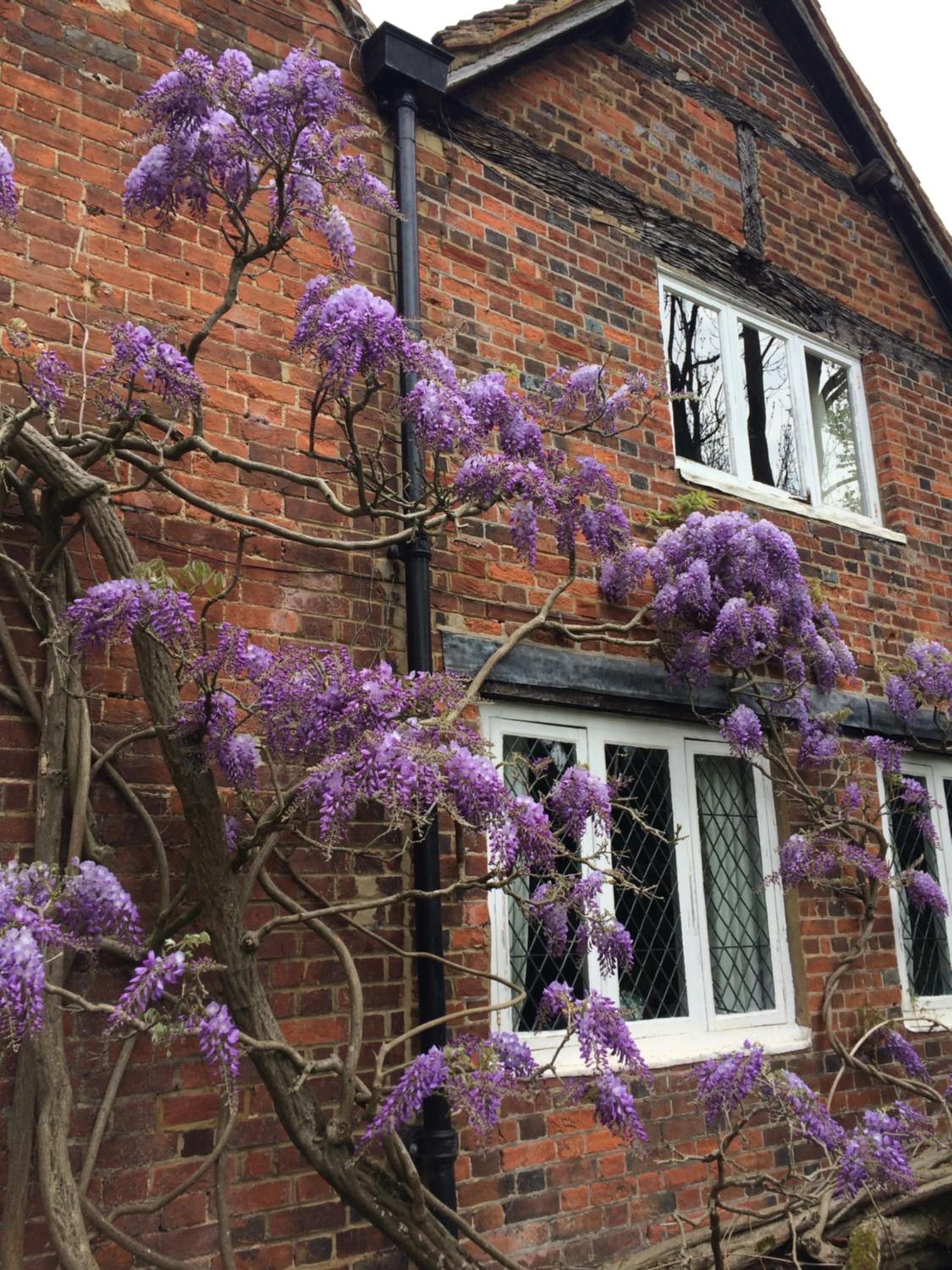 The Old Farmhouse