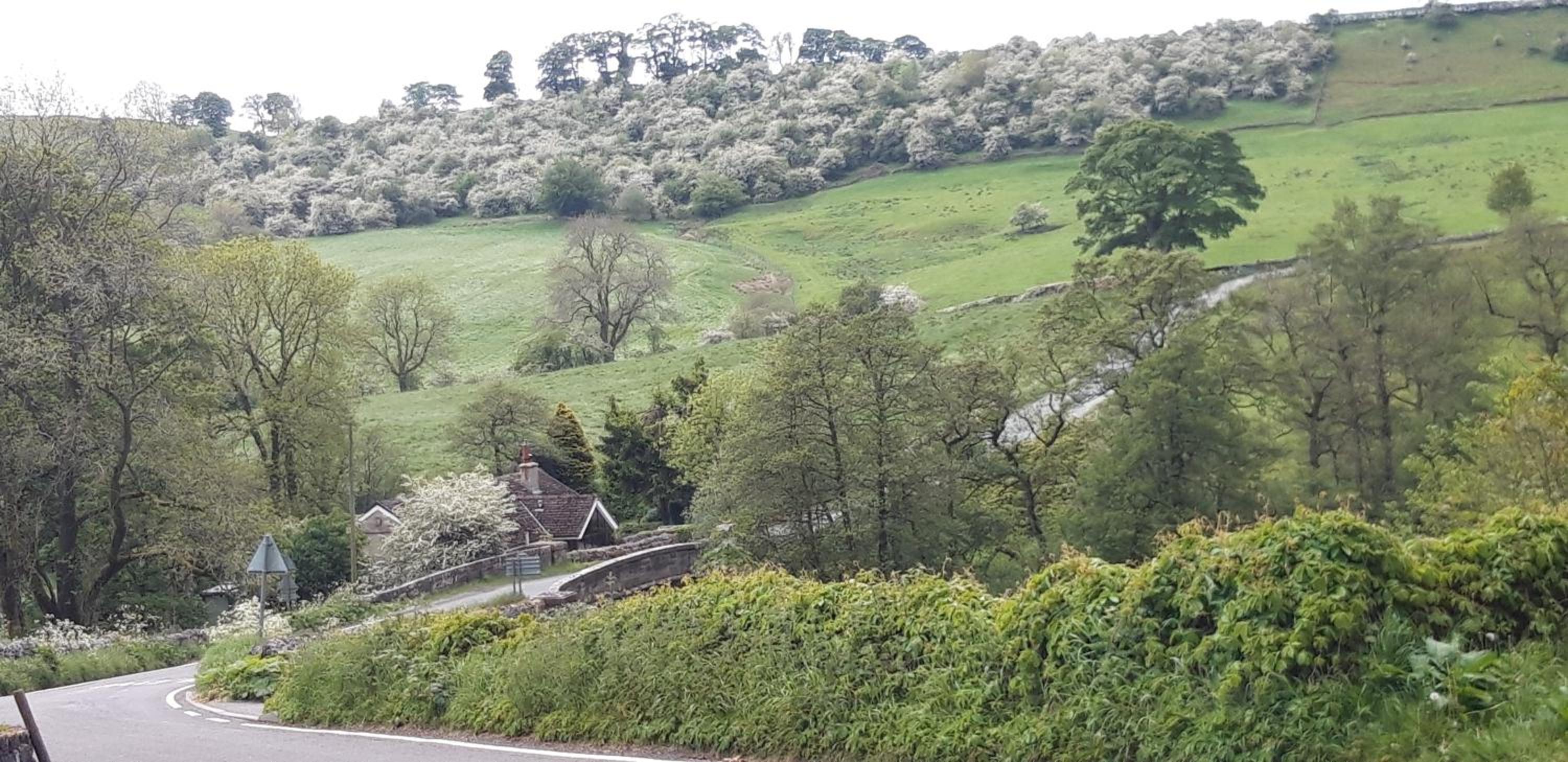 Rose Cottage view 5