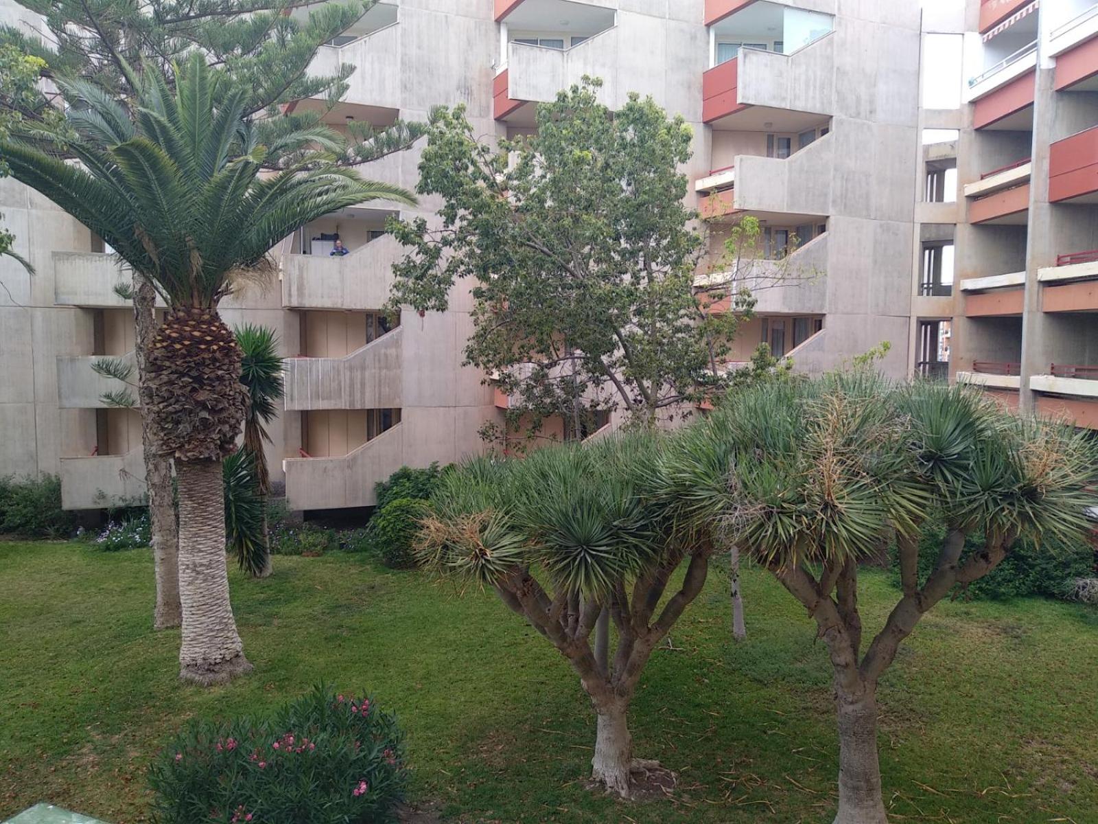 Garden view apartment in Las Galletas view 5