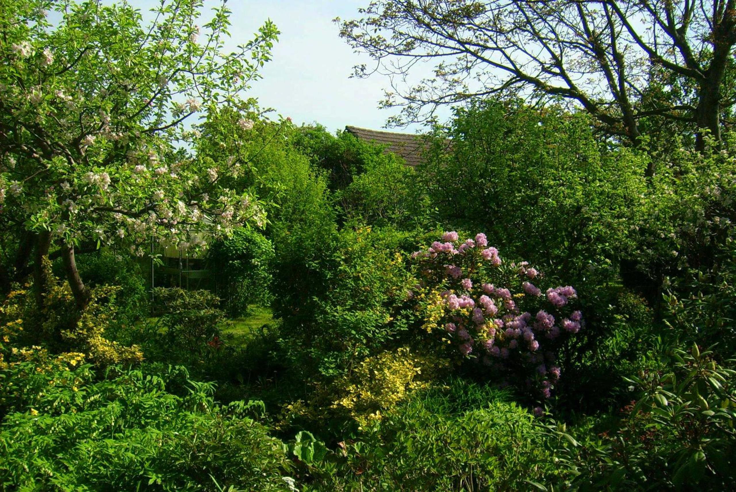 Ferienhaus Annemarie view 3