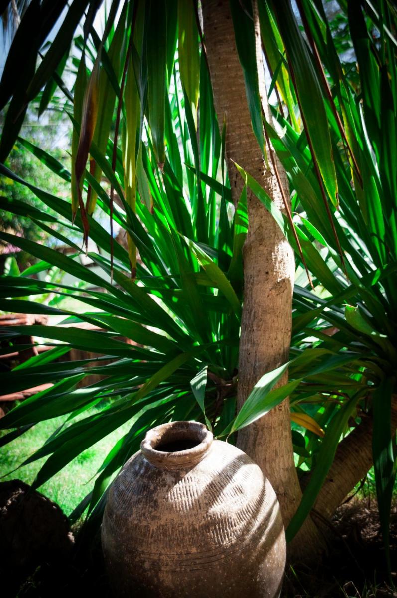 Koko De Rasta Coffee Lazy house view 2