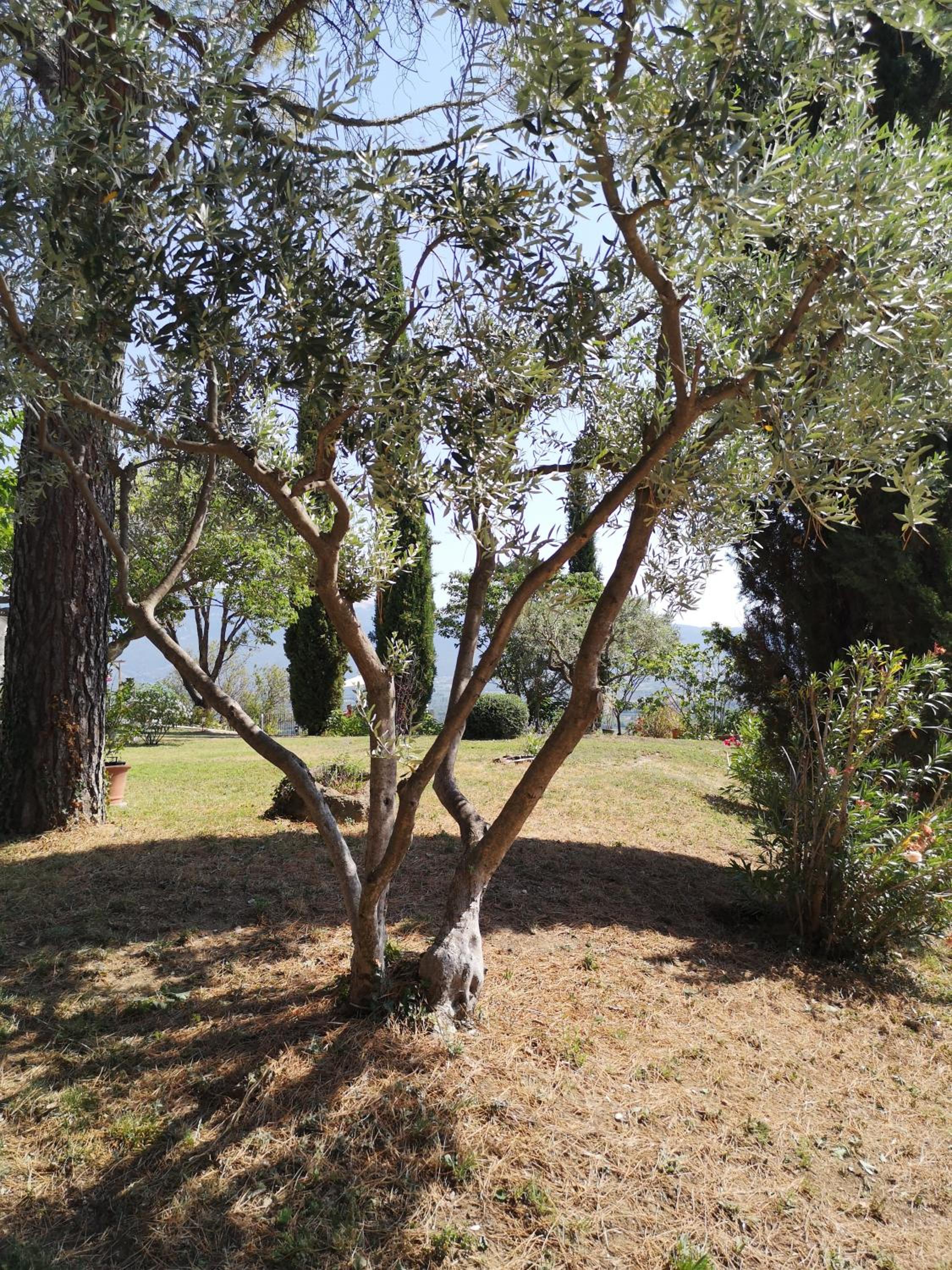 children's play area