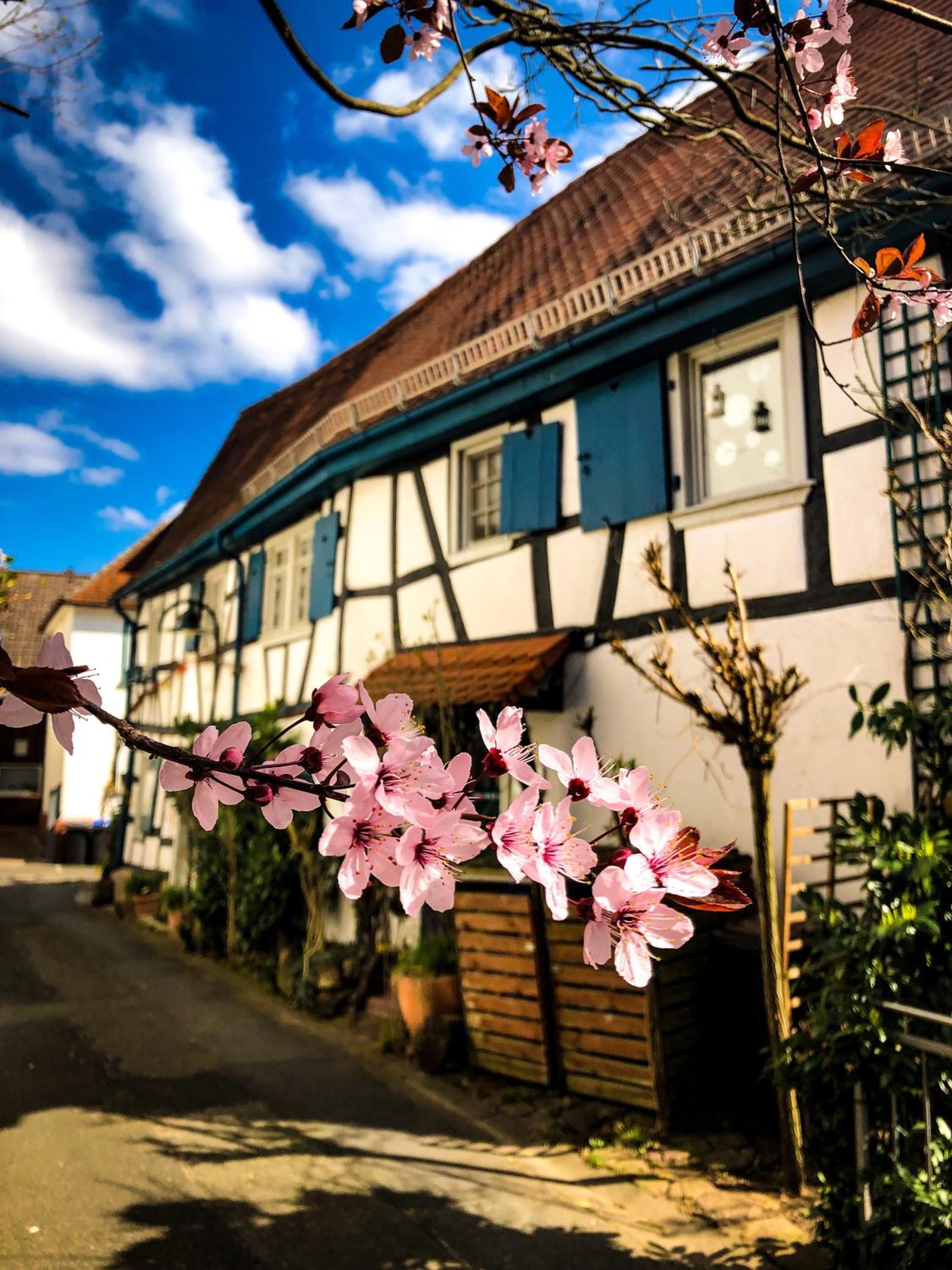 Hexenhäuschen Dreieichenhain view 2