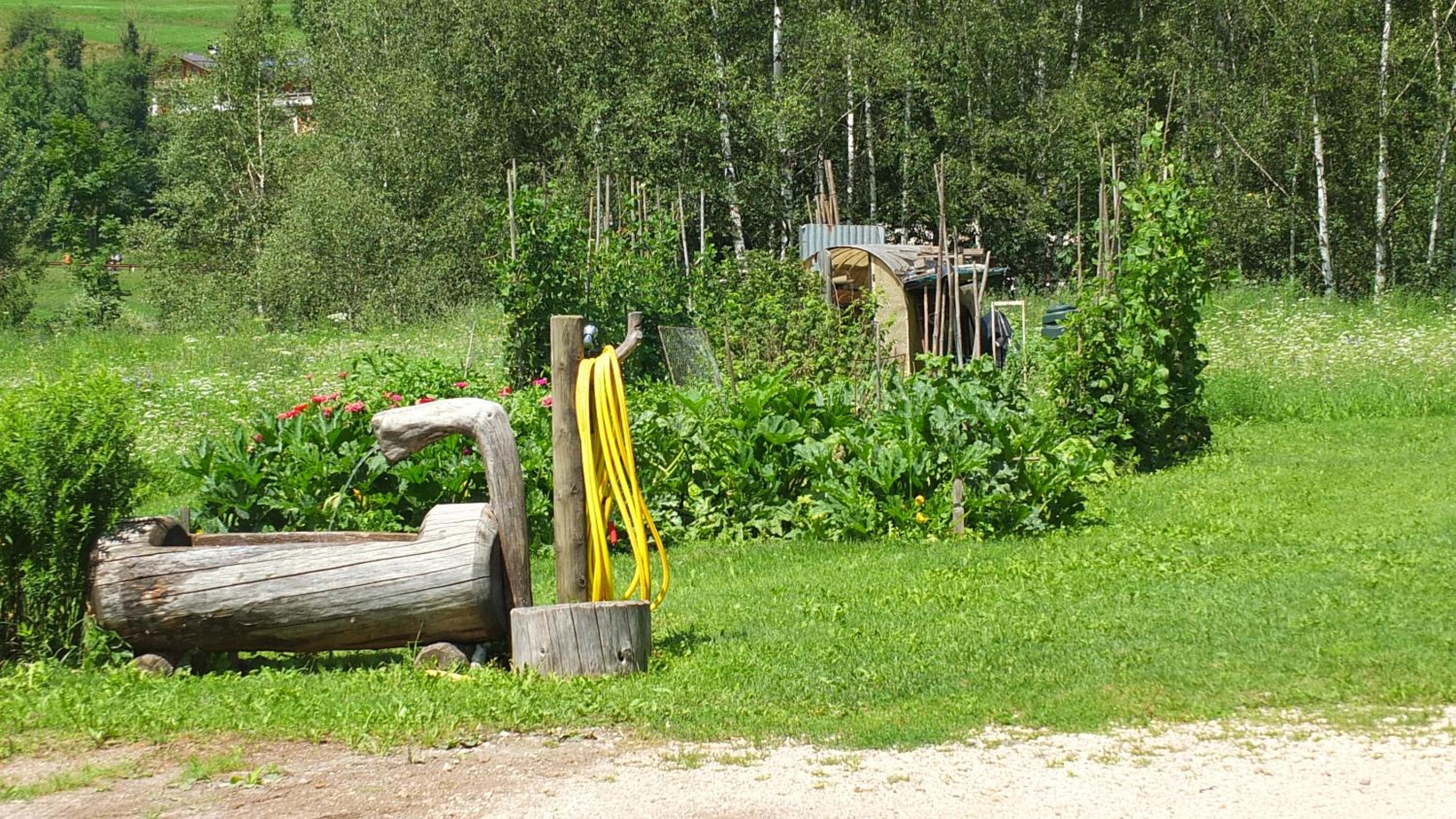 Photo 32
