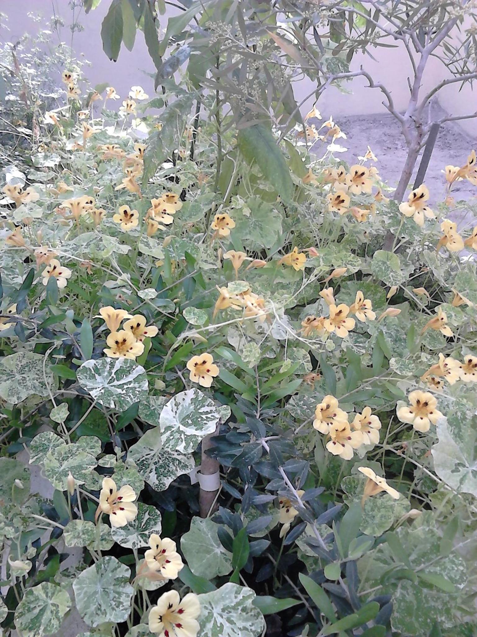 Kilkenny Vacations - Harmony Hall Veganic - Property Image 9