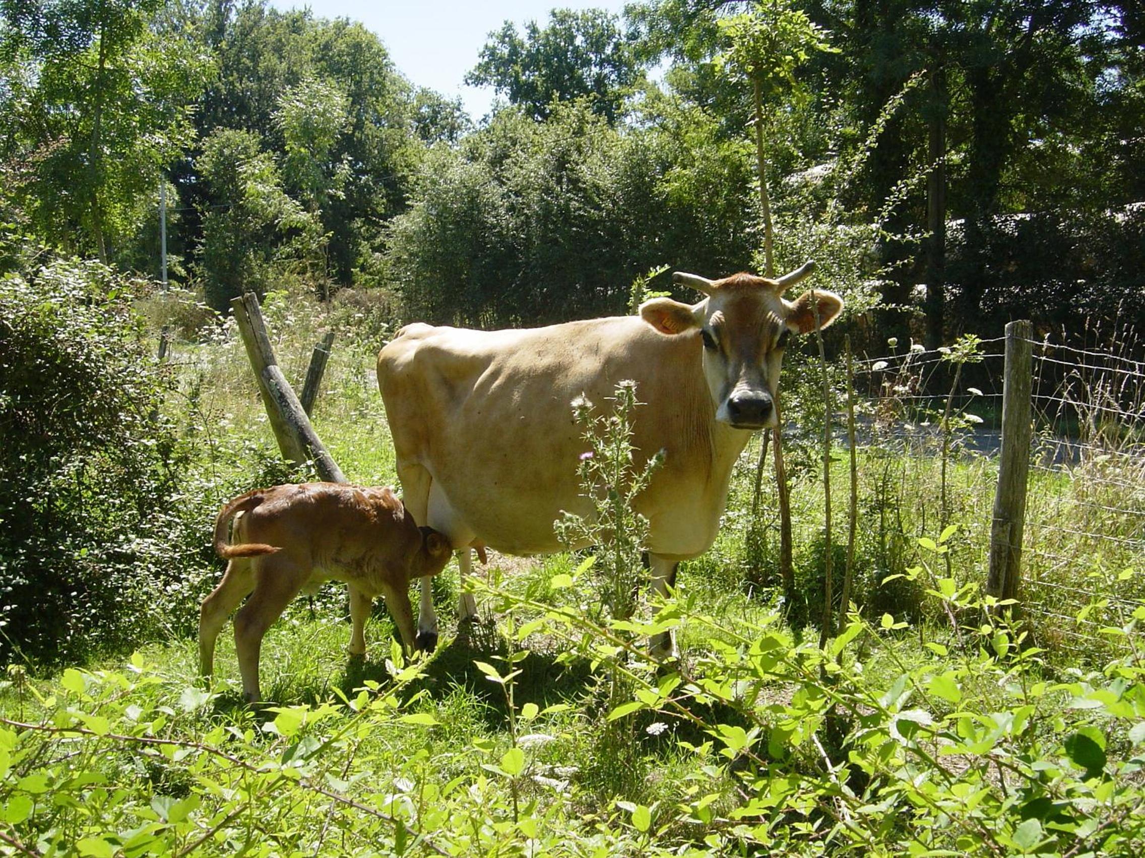 Photo 26
