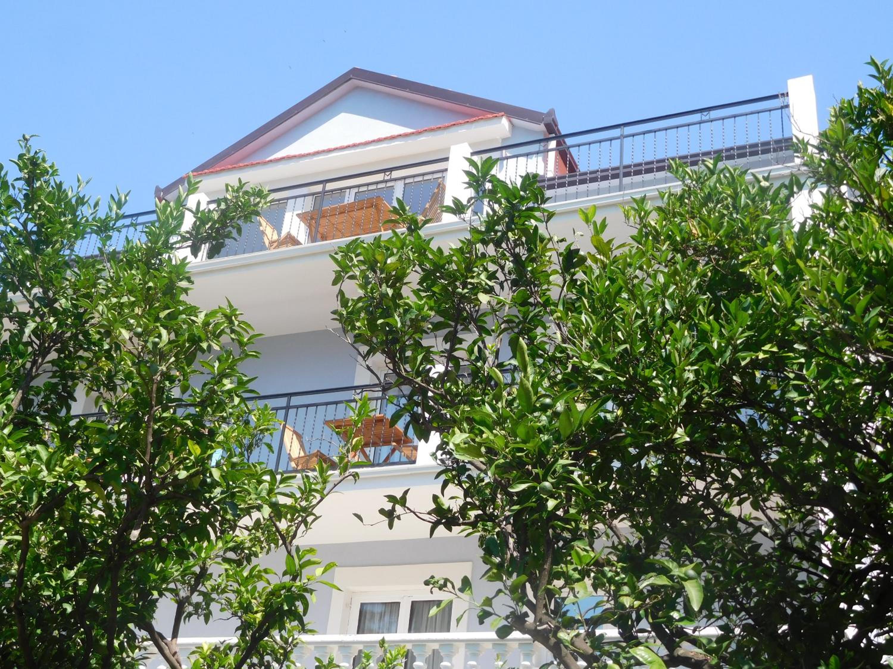 Photo 17