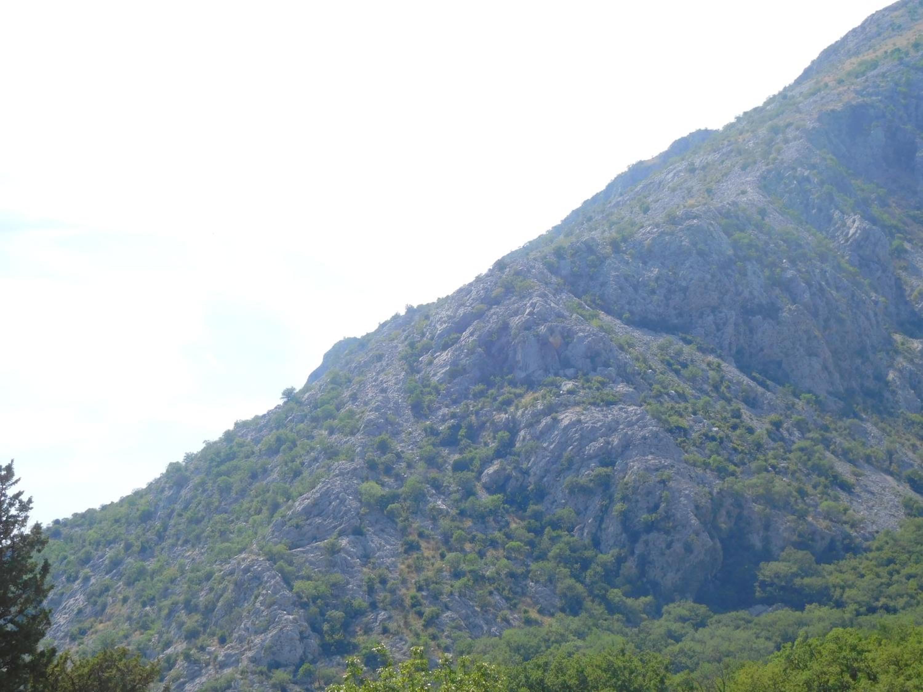 Photo 24