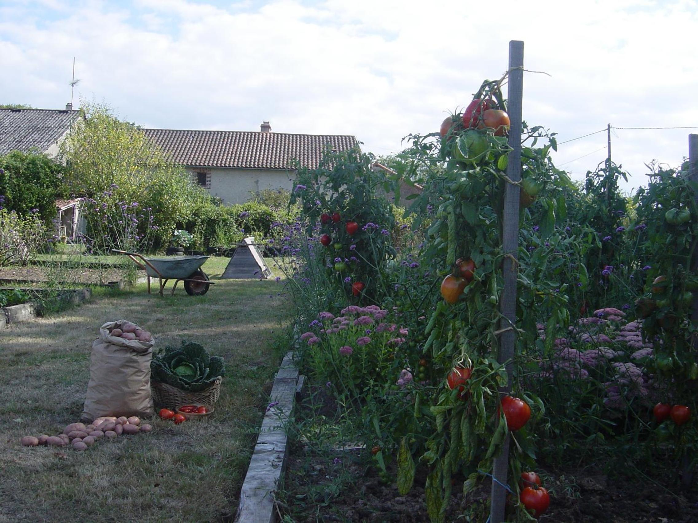 Photo 25