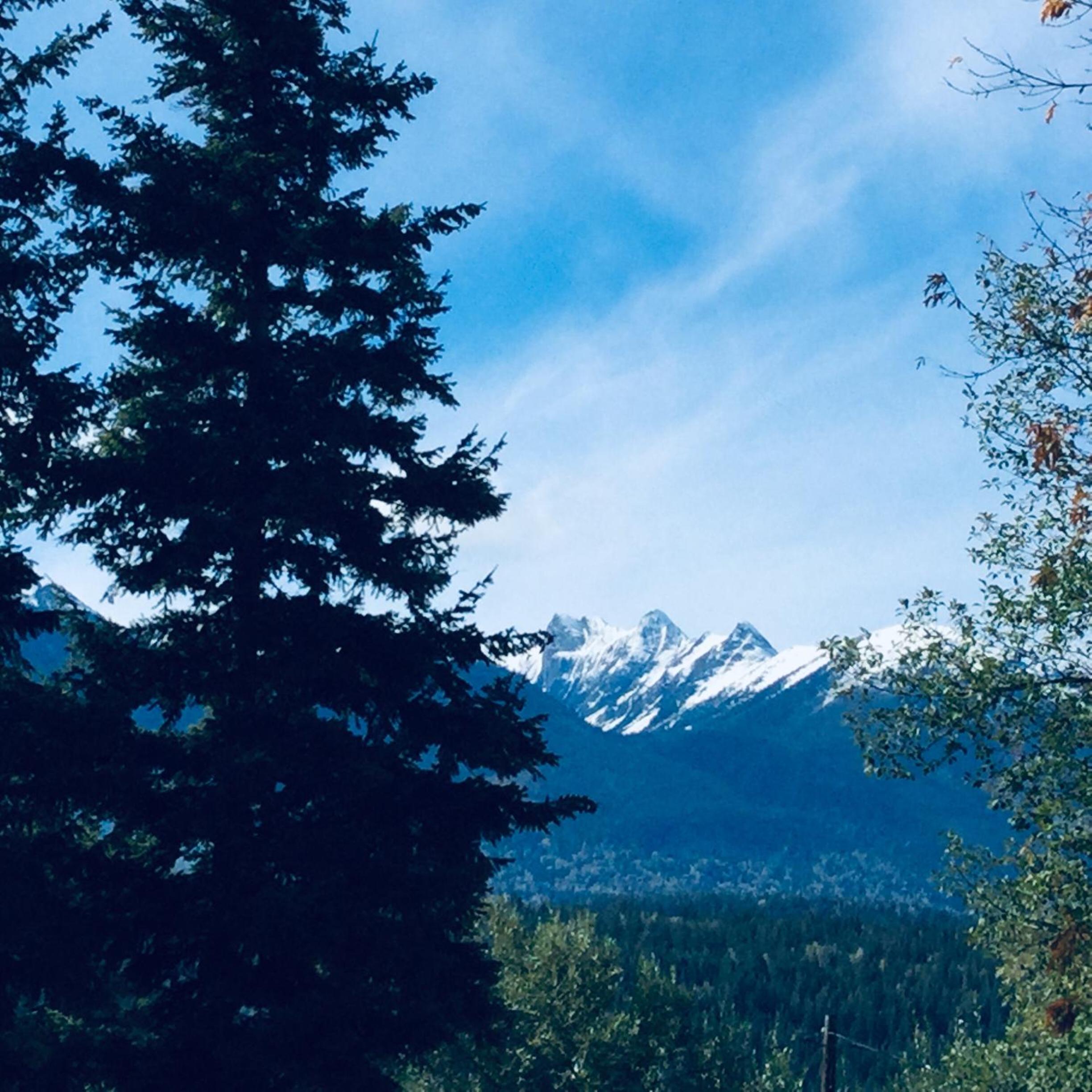 Golden Vacations - Brookside Motel - Property Image 12