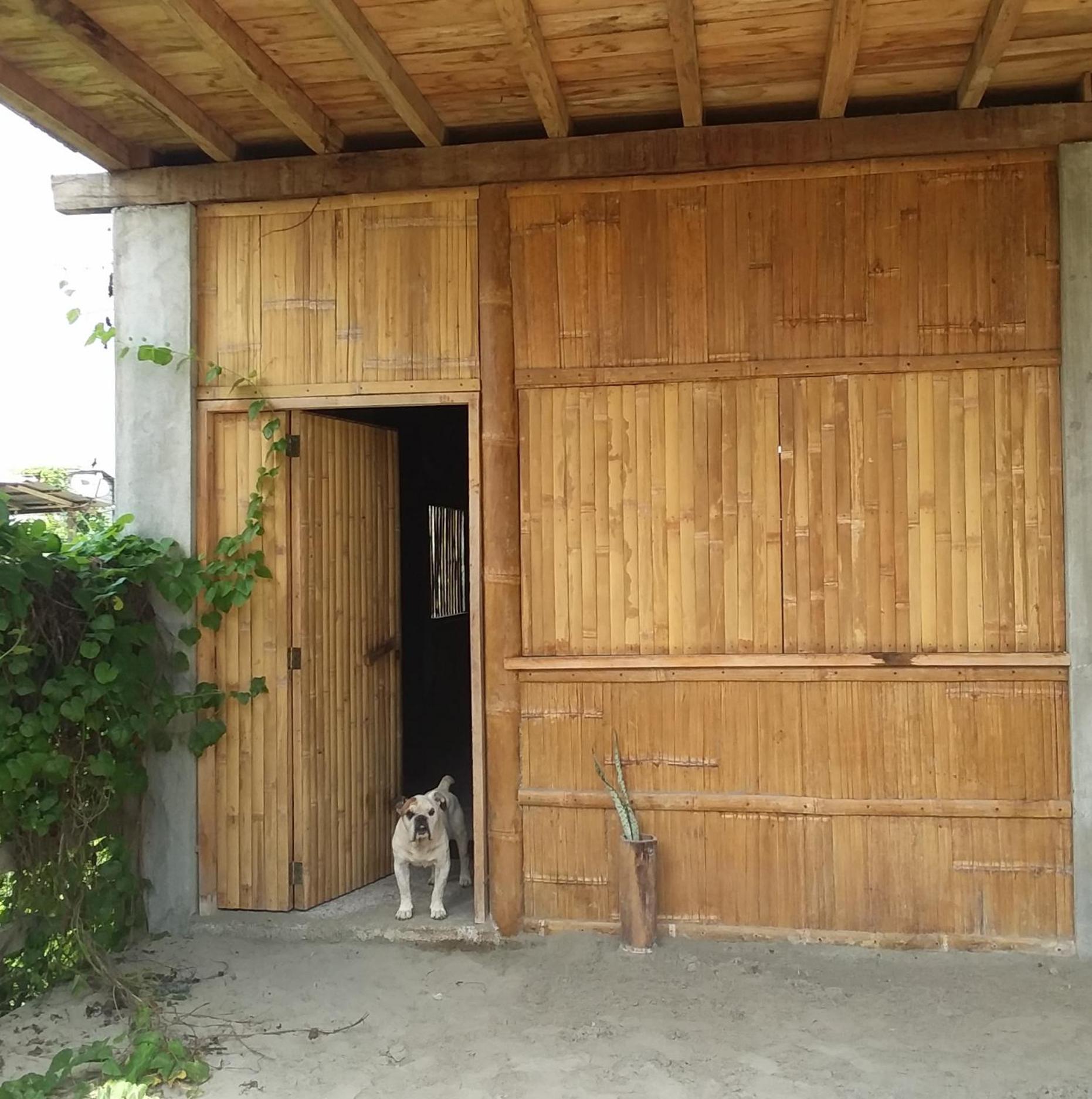 Hostal Camping Sin Fronteras Mompiche view 2