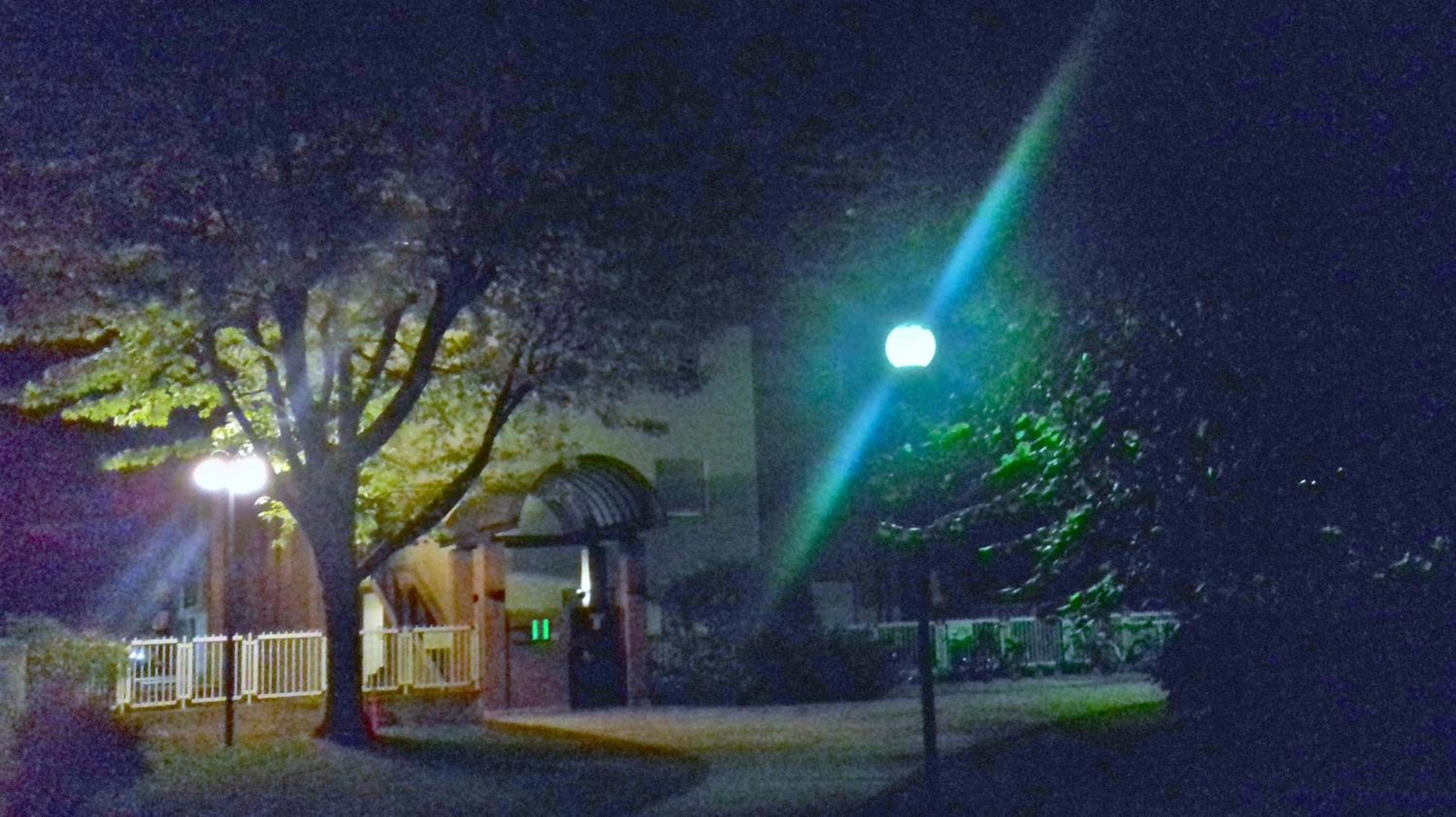 Photo 29