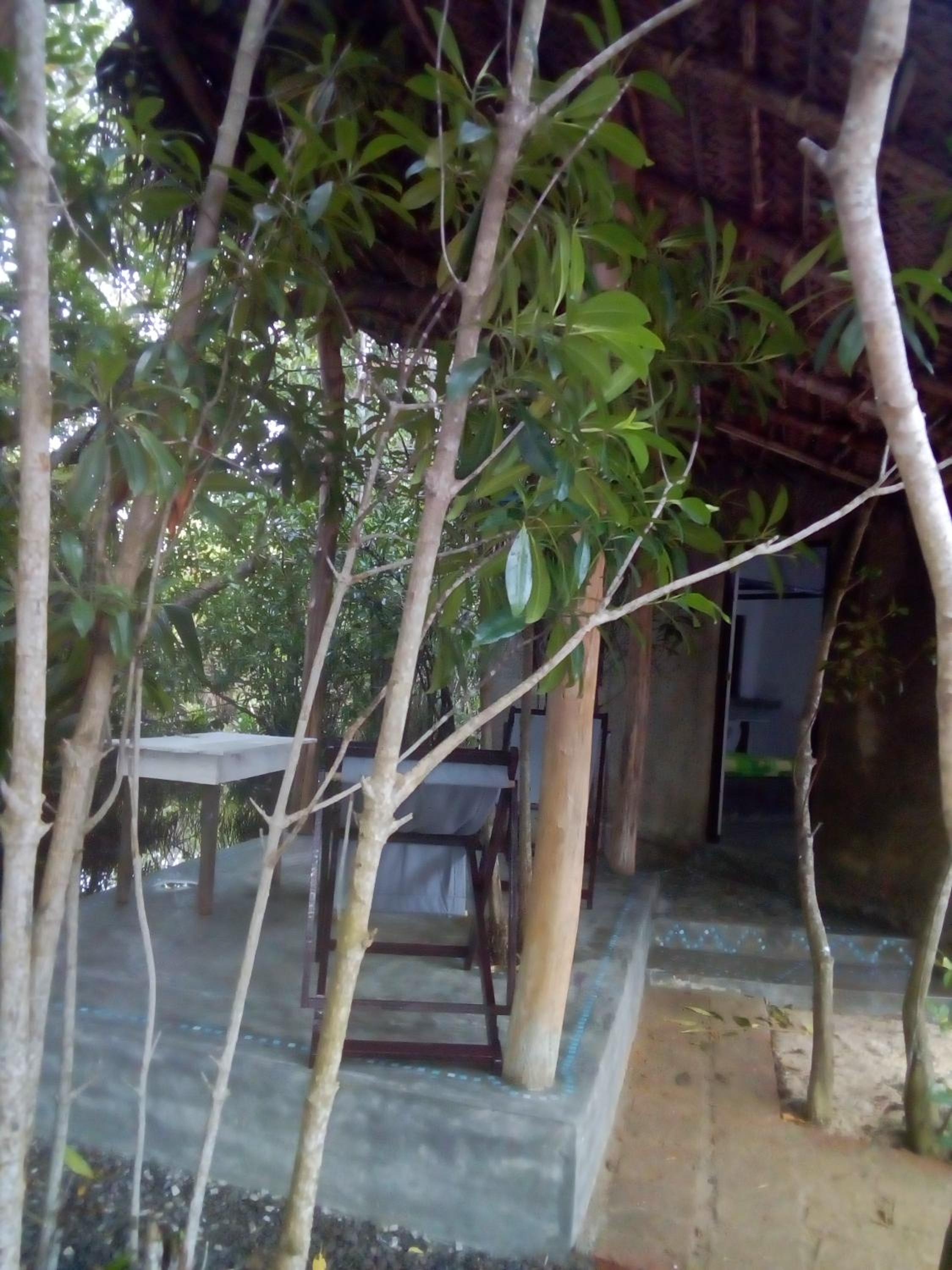 Photo 44