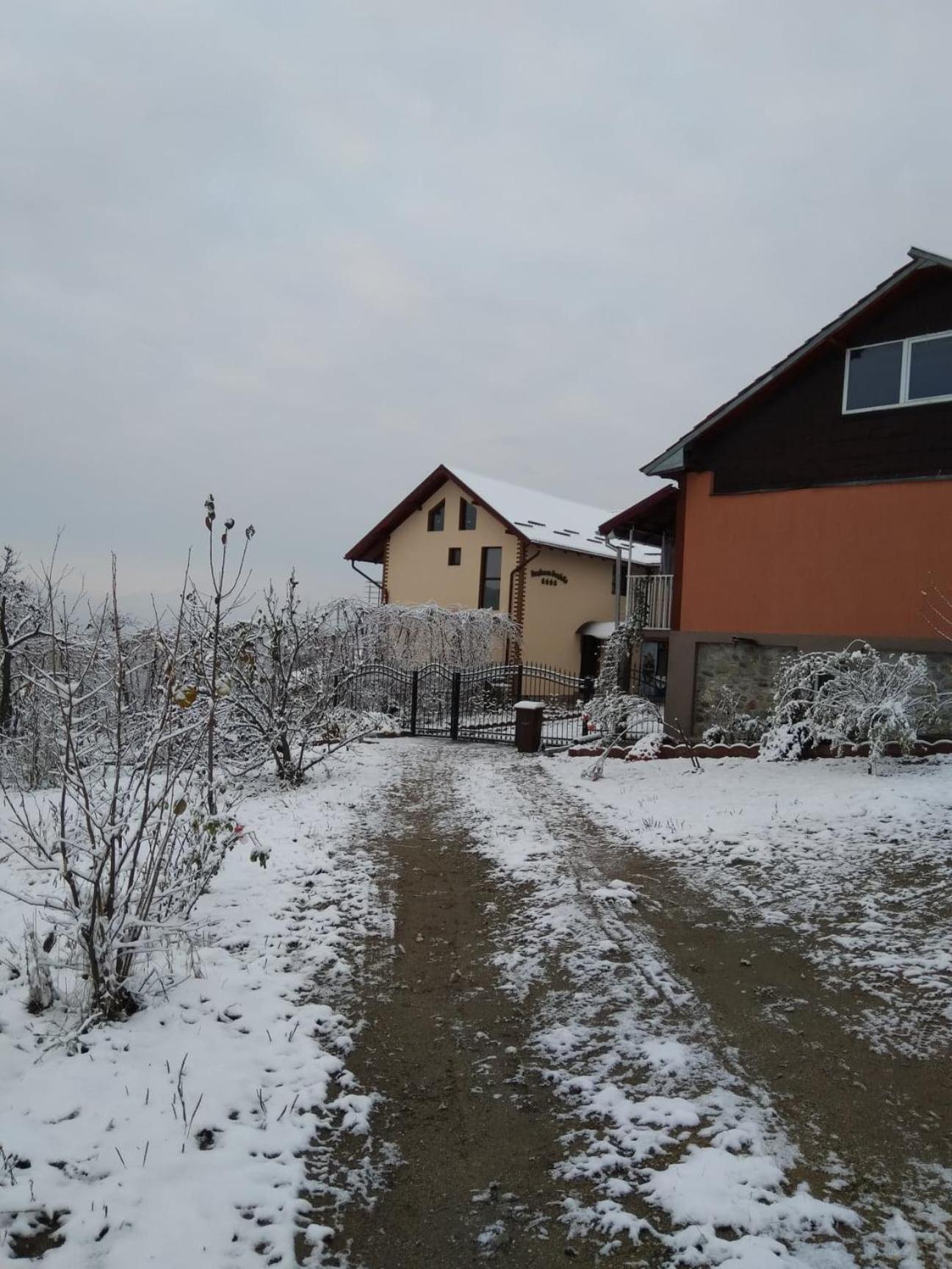 Photo 27