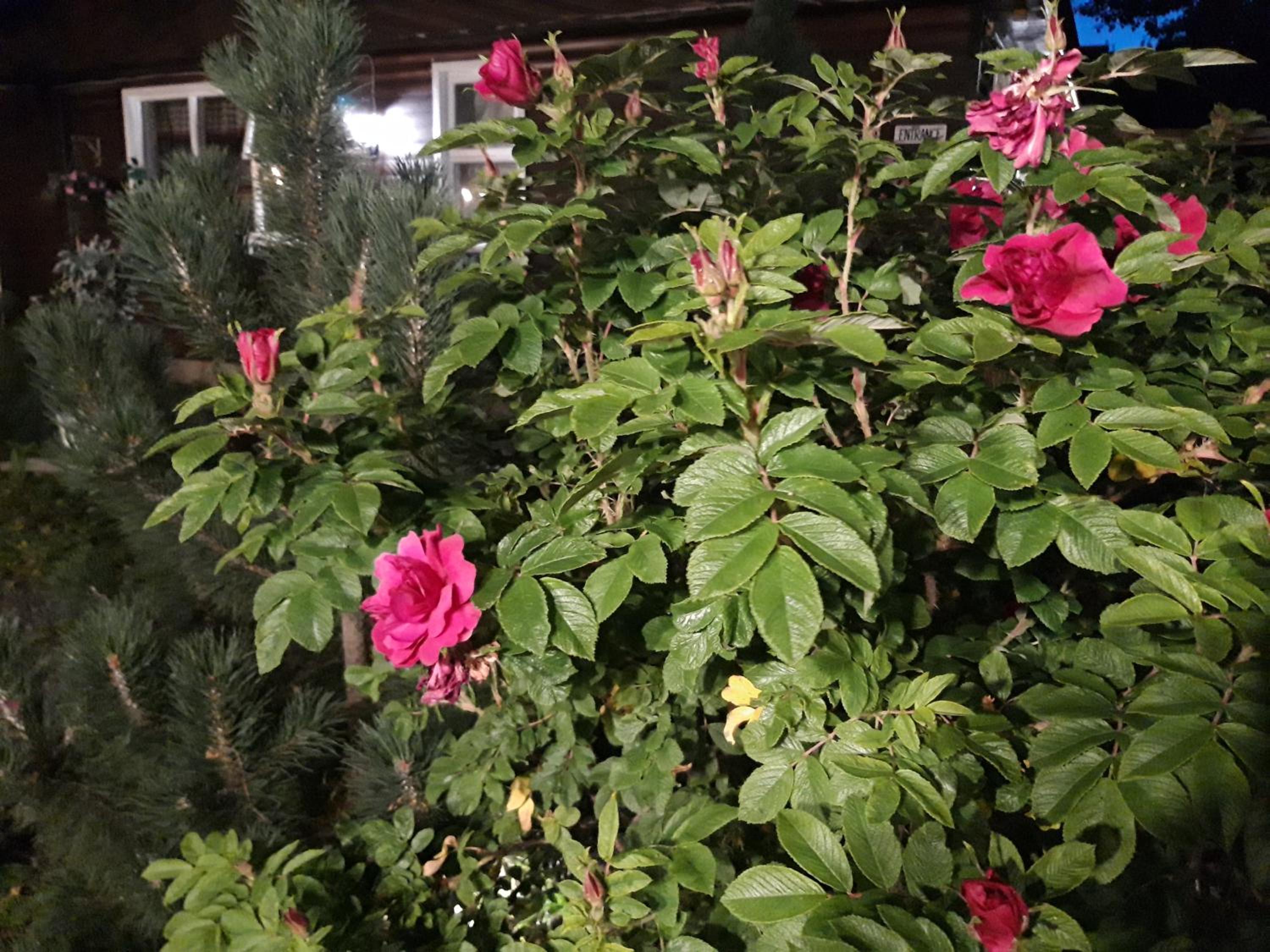 Photo 49